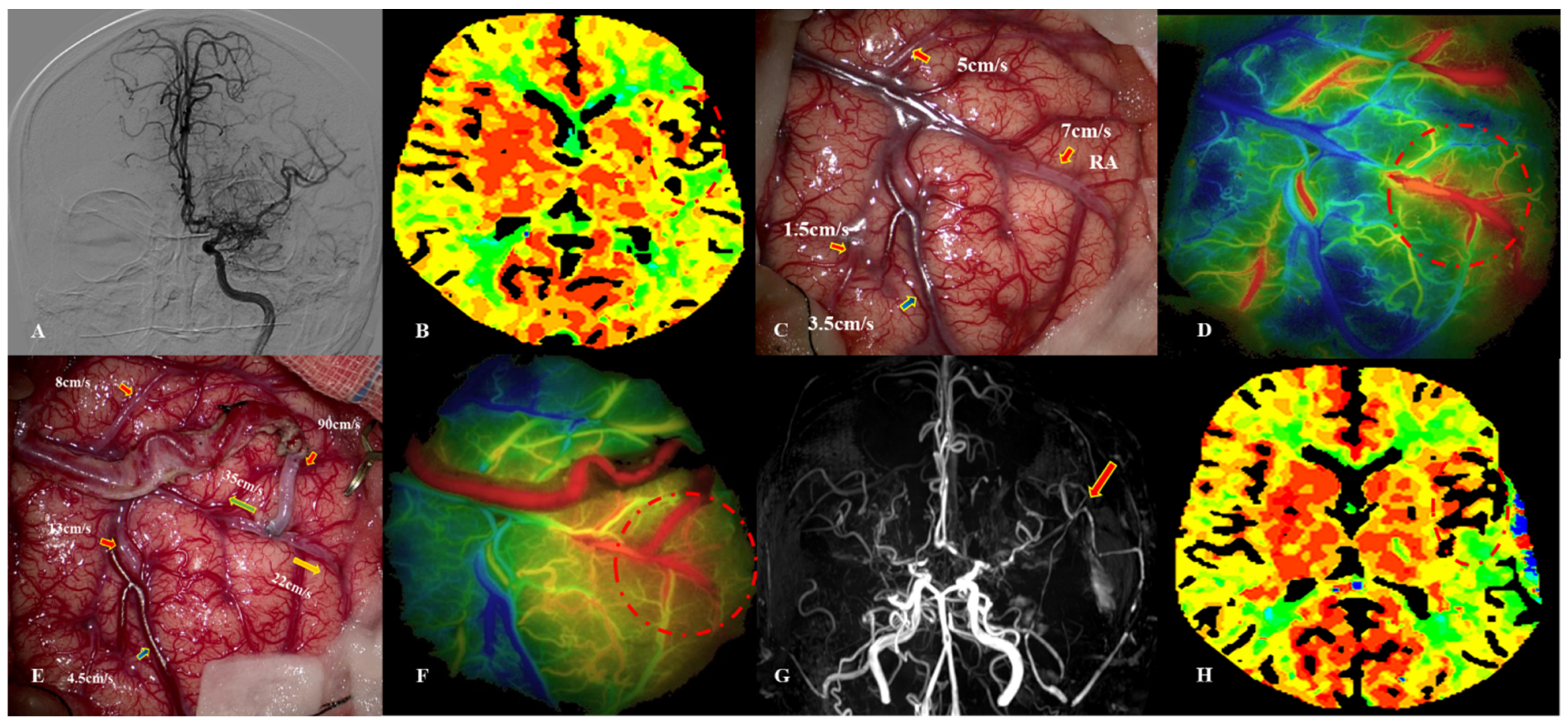 Jcm 12 03855 g002 Jcm 12 03855 g002
