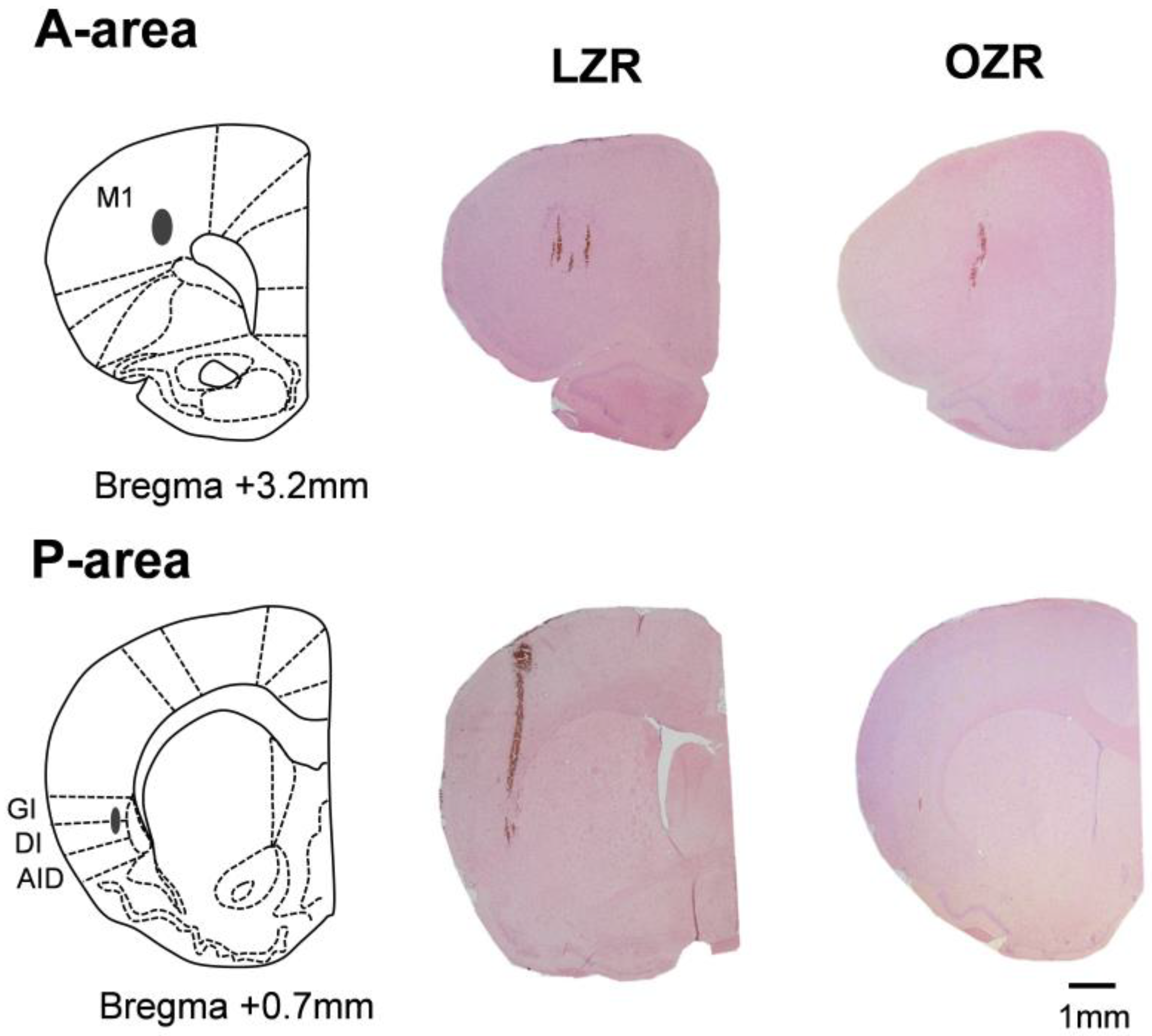 Jcm 12 03856 g002 Jcm 12 03856 g002