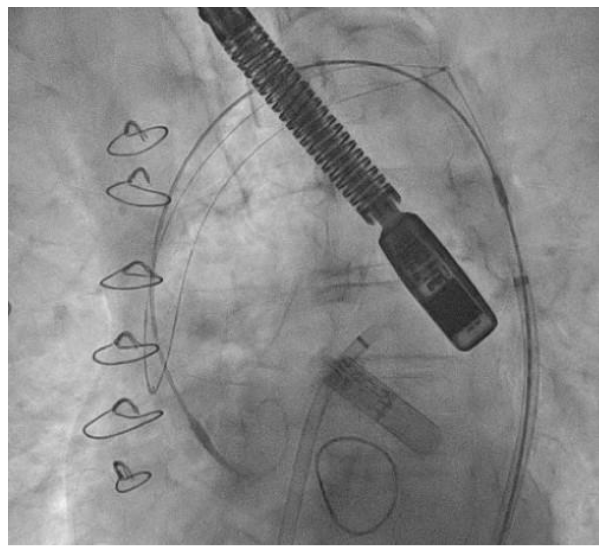 Jcm 12 03859 g002 Jcm 12 03859 g002