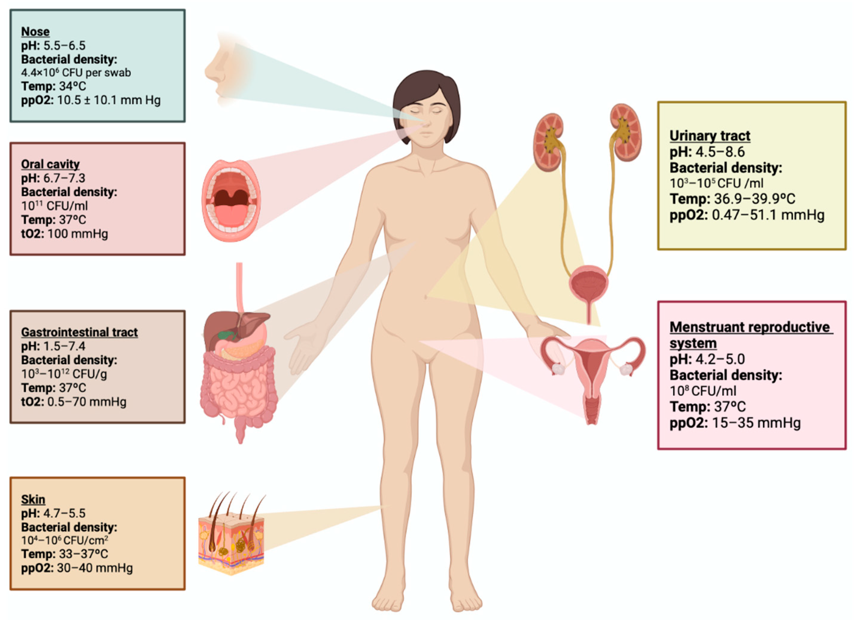 JCM | Free Full-Text | Cycle Biodynamics of Women&rsquo;s Microbiome in the  Urinary and Reproductive Systems