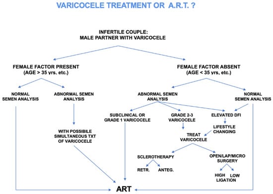 Varicocele Diagnosis & Treatment