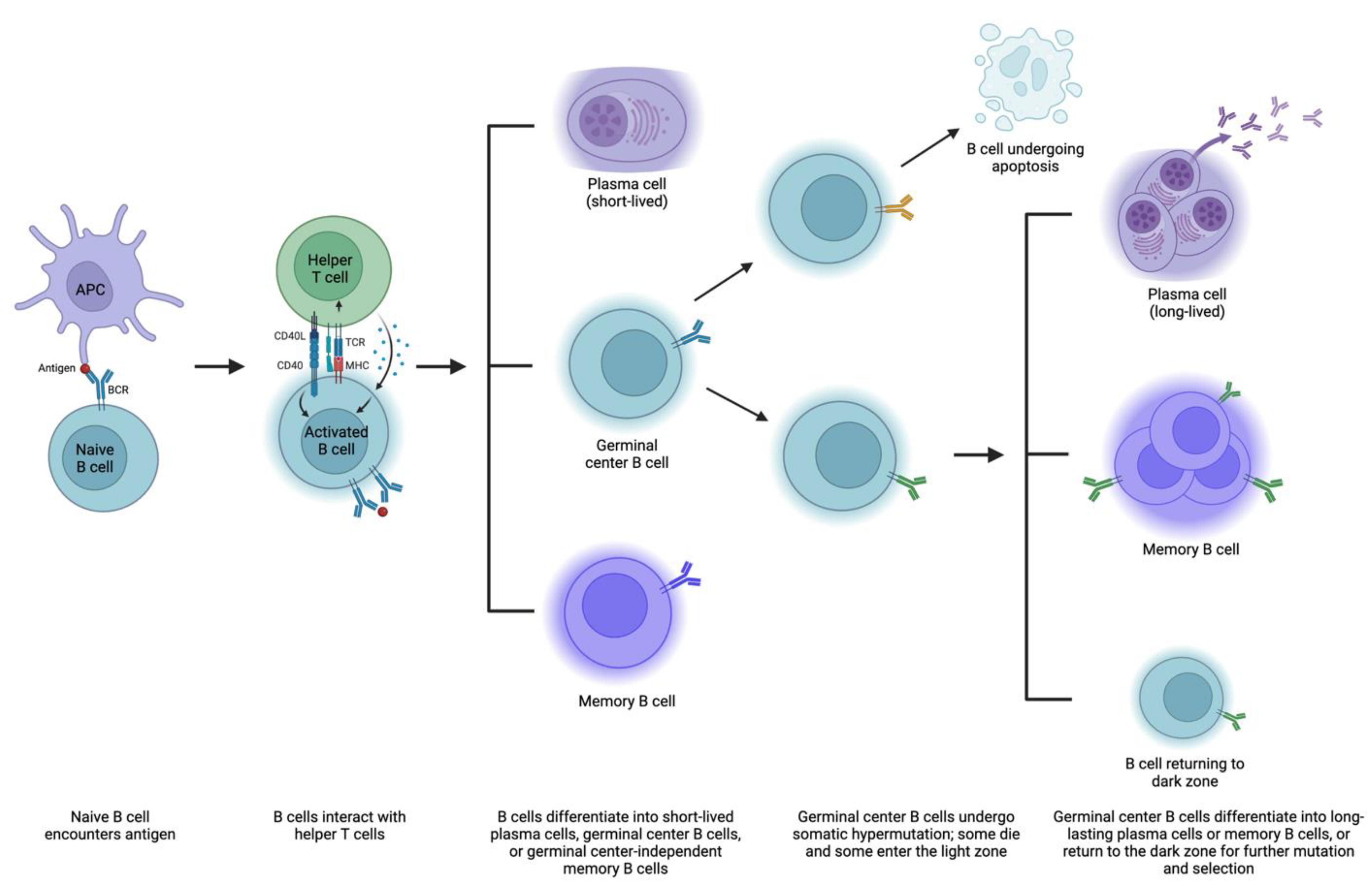 Jcm 12 04130 g002 Jcm 12 04130 g002