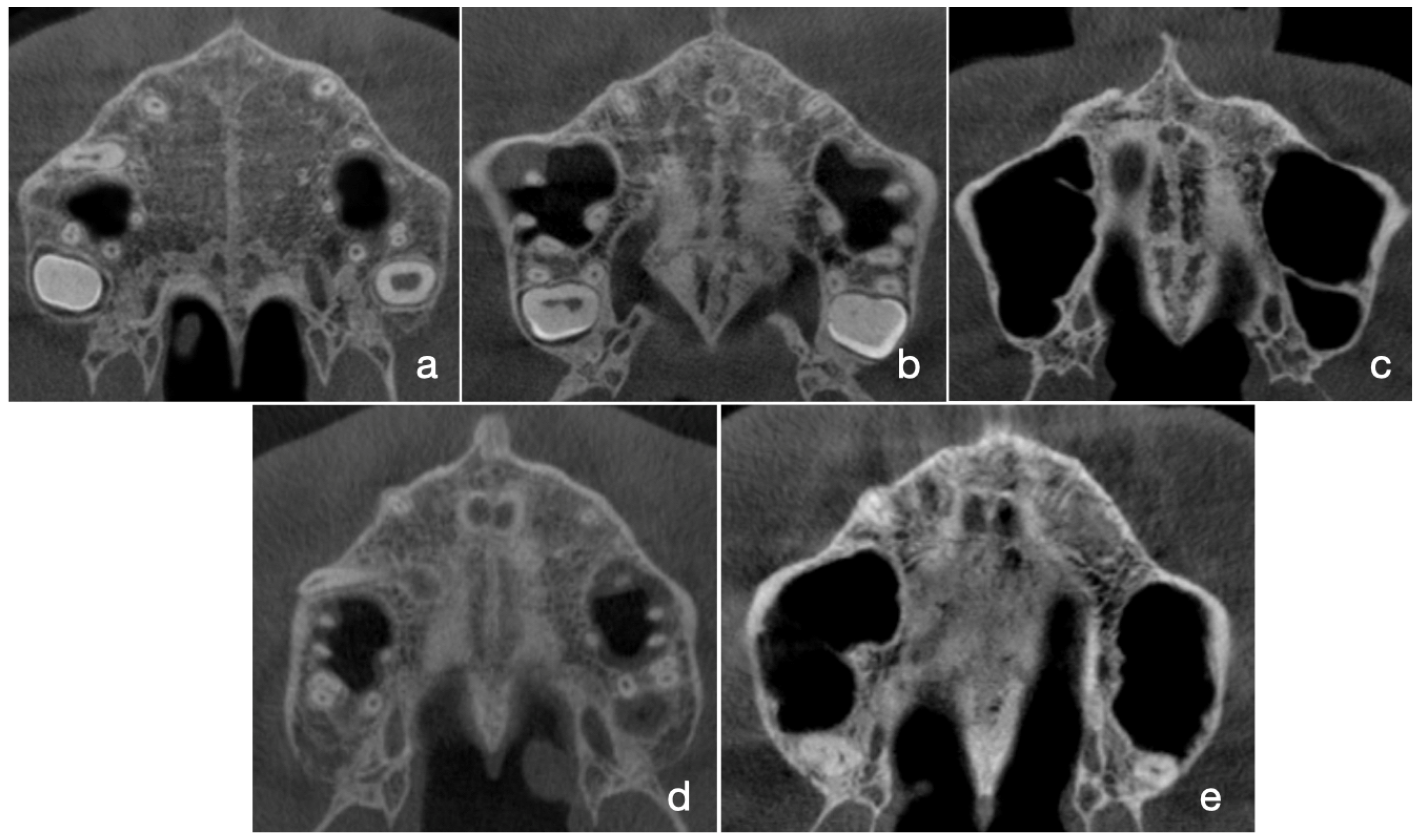 Jcm 12 04189 g001 Jcm 12 04189 g001