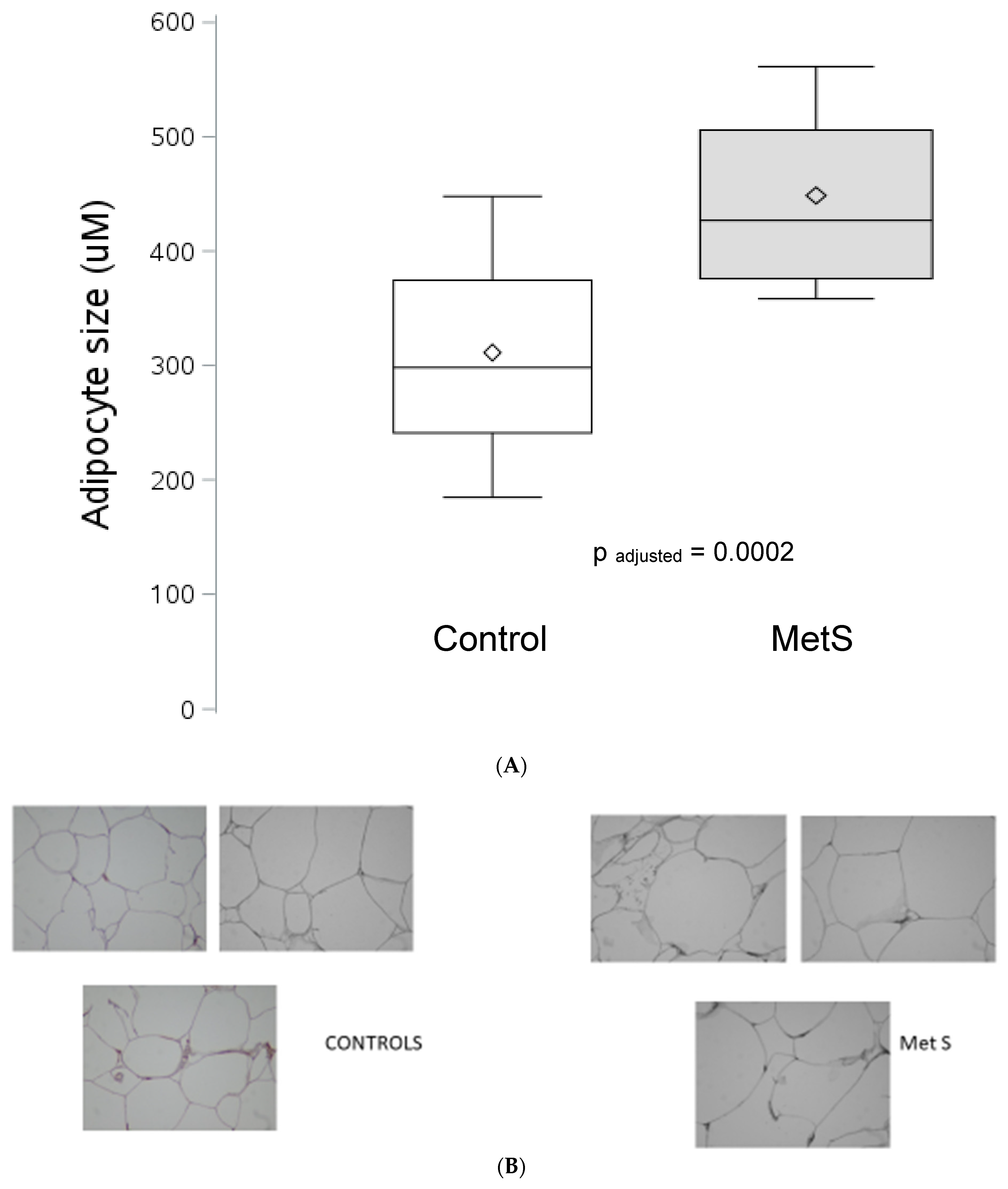 Jcm 12 04247 g001 Jcm 12 04247 g001