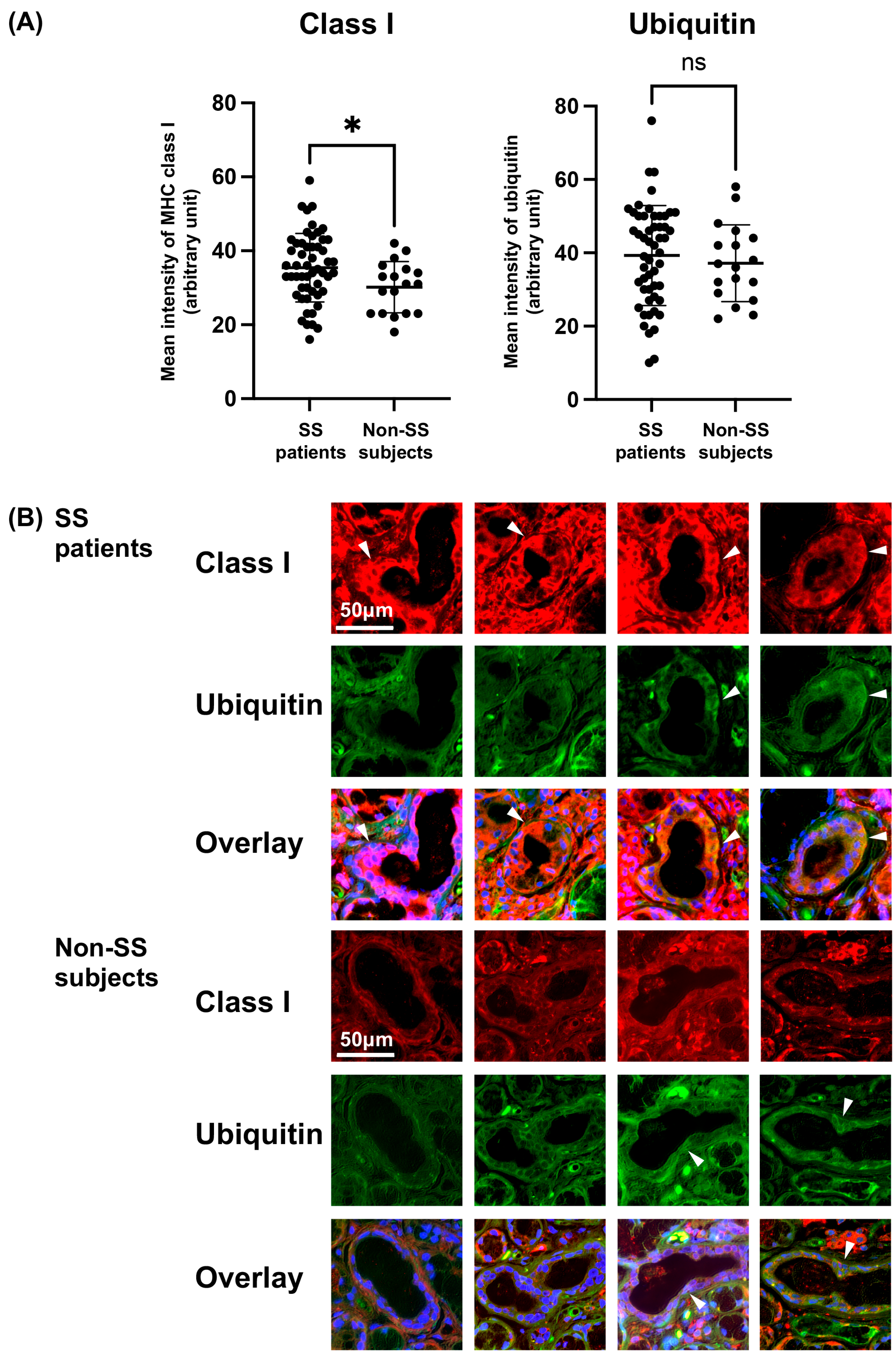 Jcm 12 04423 g001 Jcm 12 04423 g001