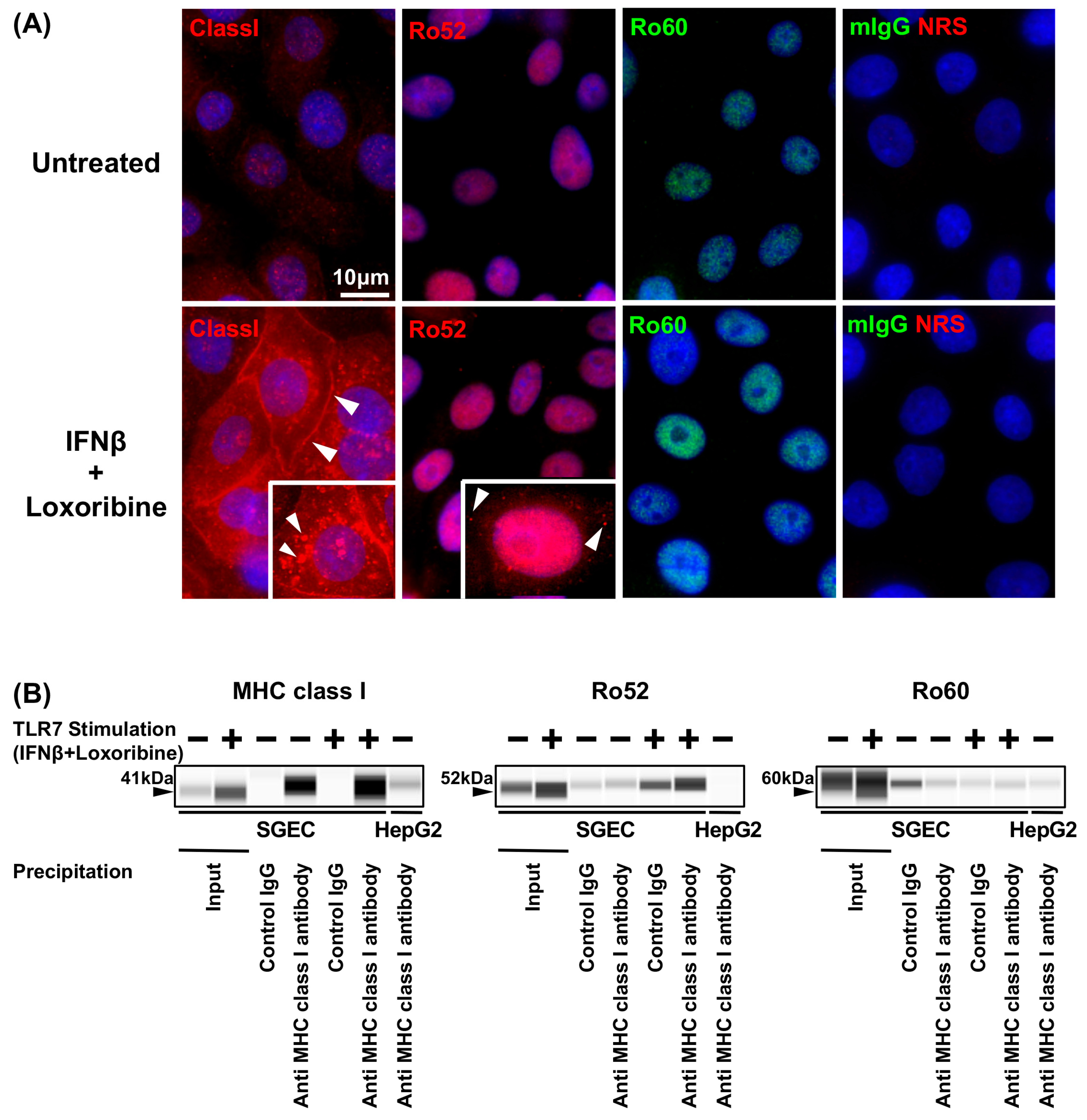 Jcm 12 04423 g002 Jcm 12 04423 g002