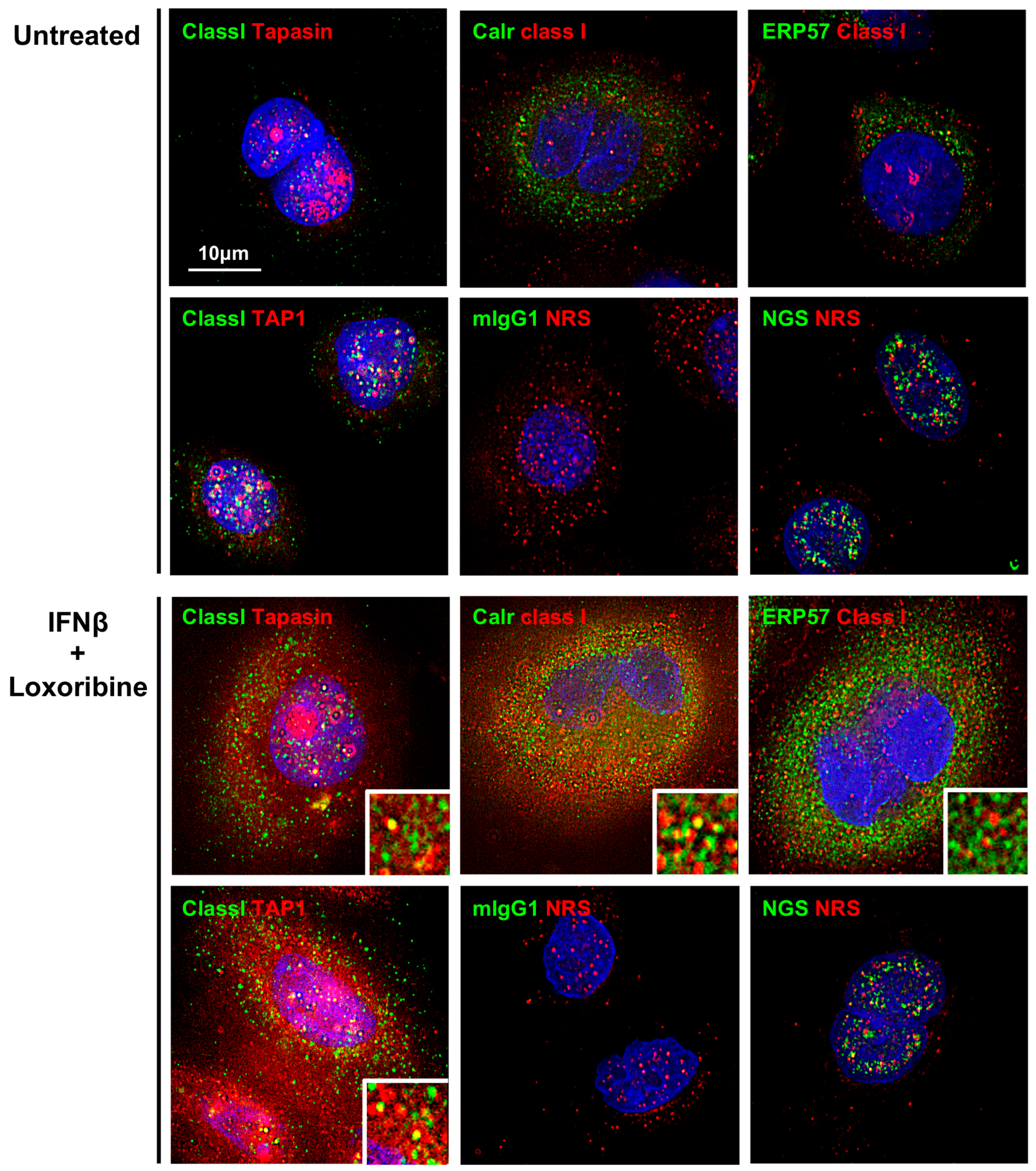 Jcm 12 04423 g004 Jcm 12 04423 g004