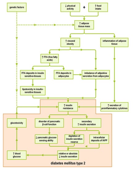 JCM | Free Full-Text | Diagnosis and Non-Invasive Treatment of Obesity ...