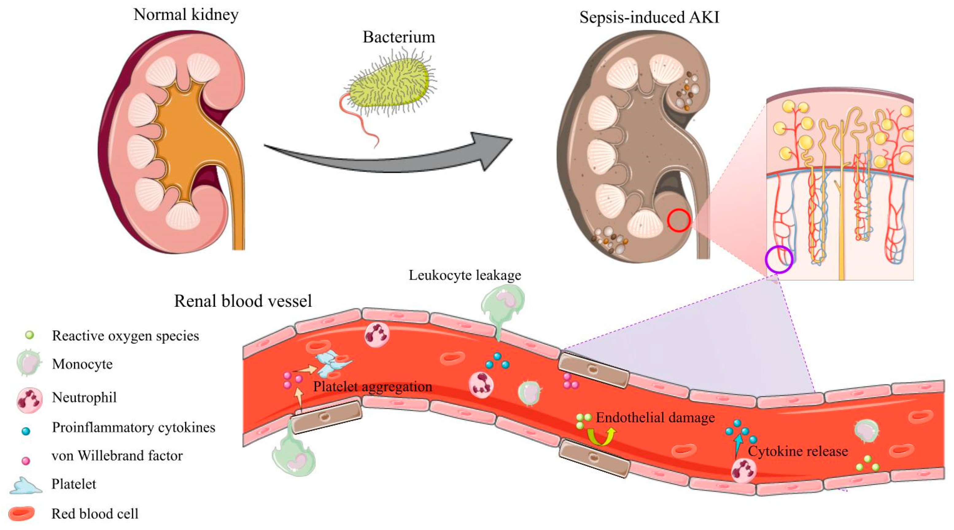 Jcm 12 04566 g002 Jcm 12 04566 g002