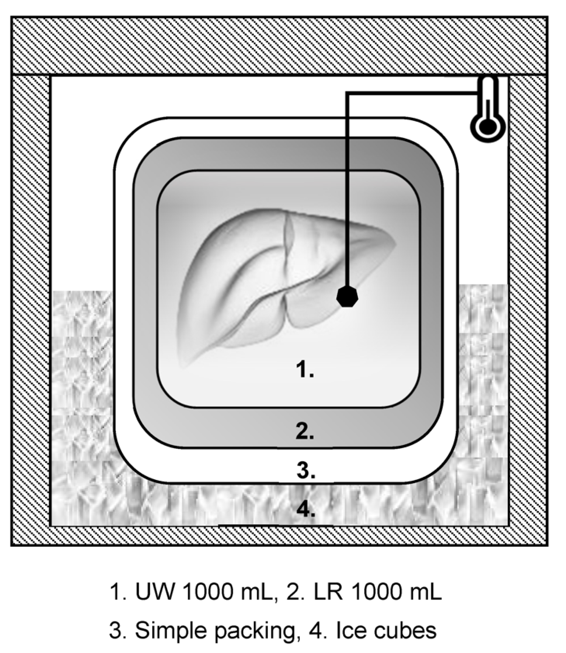 https://www.mdpi.com/jcm/jcm-12-04703/article_deploy/html/images/jcm-12-04703-g001.png