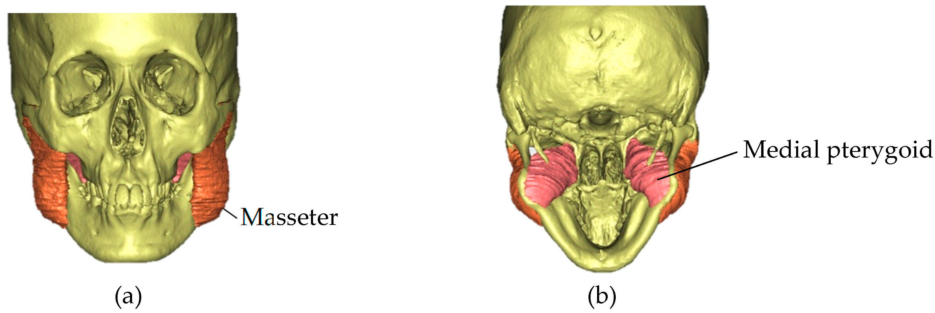 Jcm 12 04875 g006 Jcm 12 04875 g006