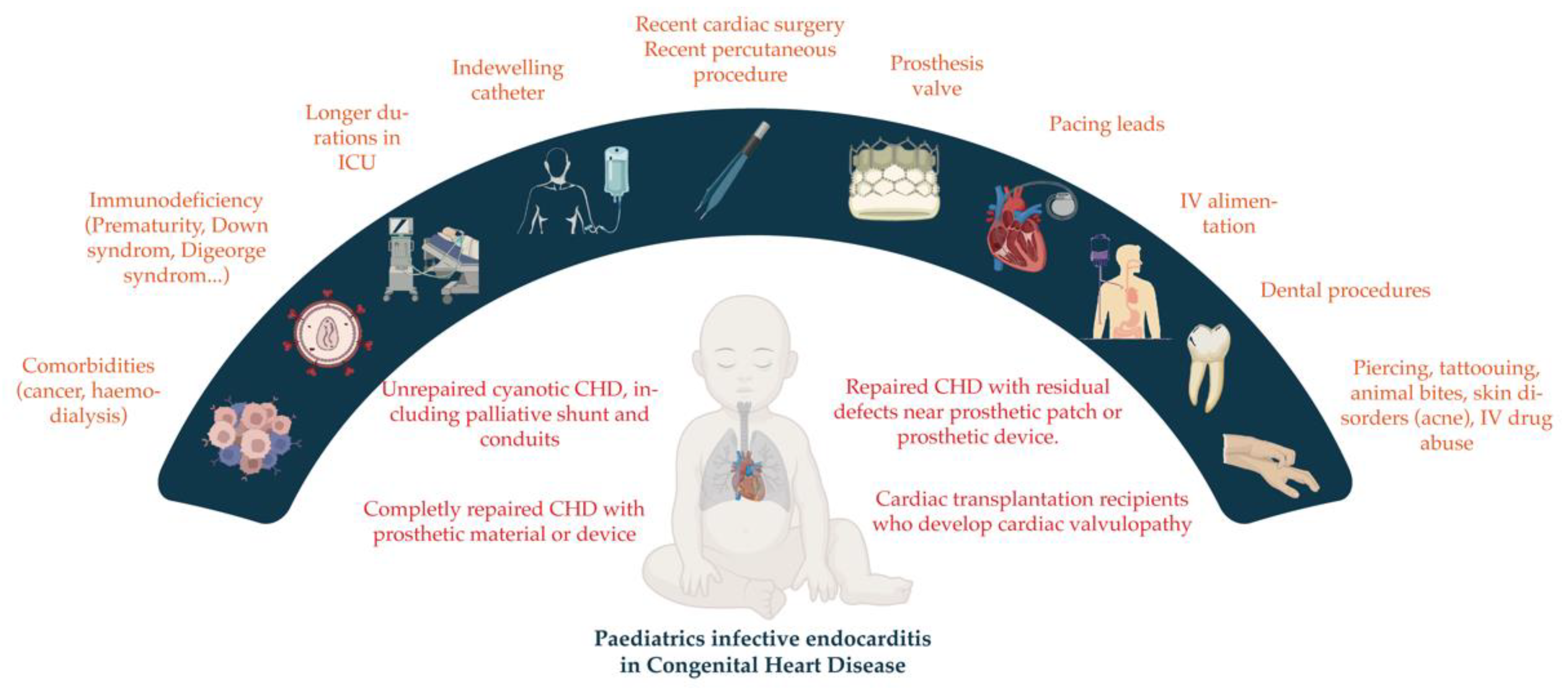 Braz J Cardiovasc Surg - The pulmonary vascular blood supply in the  pulmonary atresia with ventricular septal defect and its implications in  surgical treatment