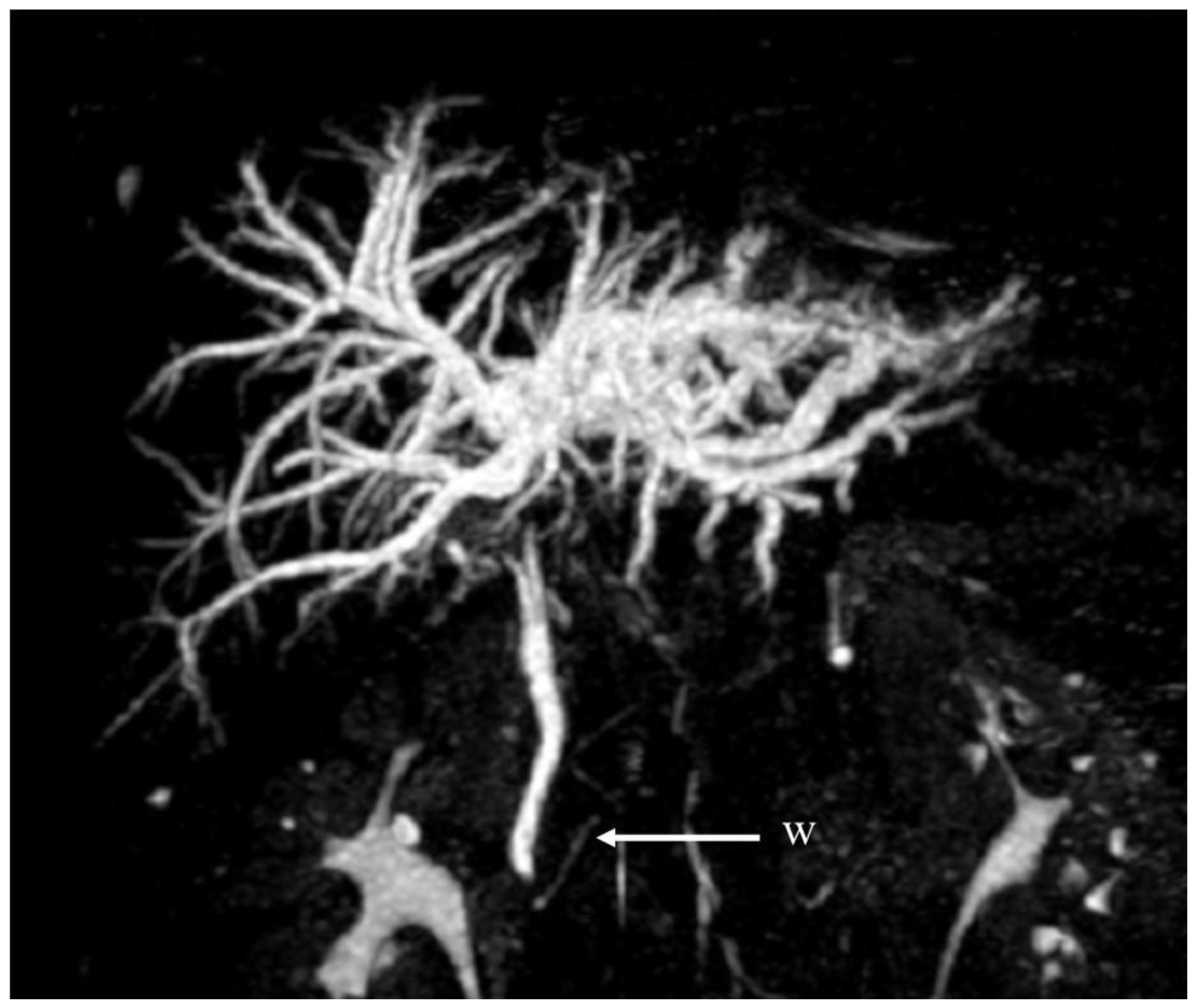 Jcm 12 05104 g001 Jcm 12 05104 g001