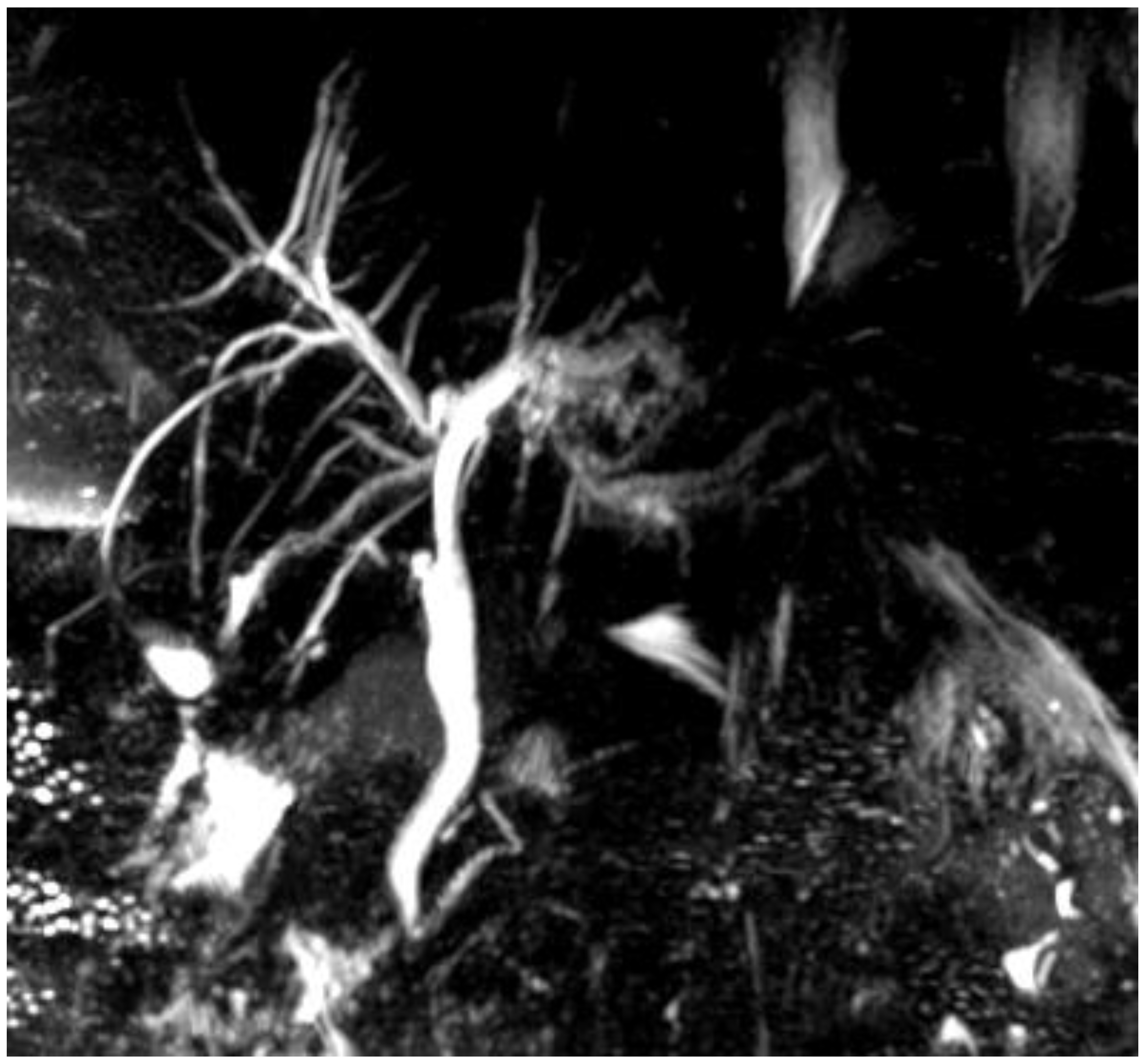 Jcm 12 05104 g002 Jcm 12 05104 g002