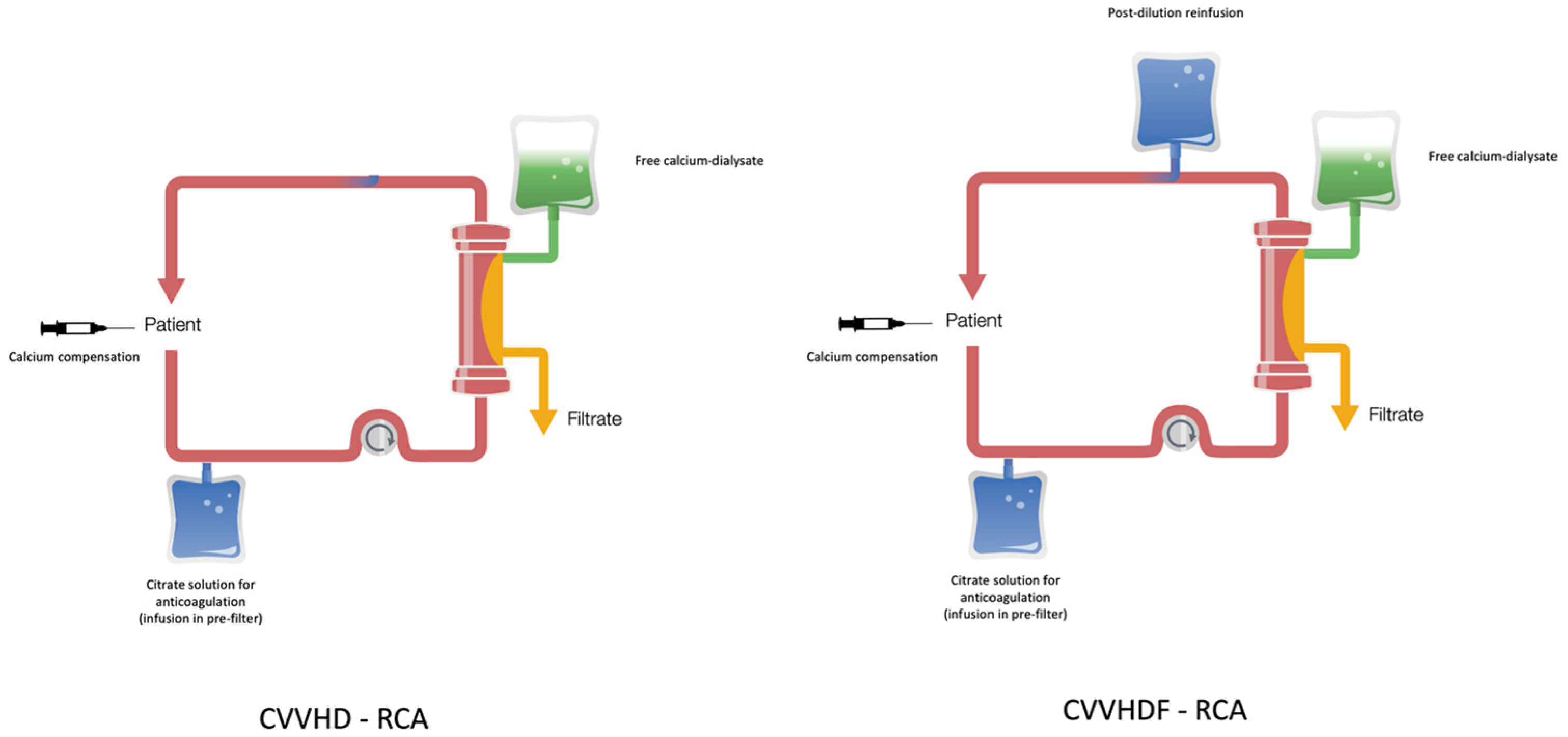 Jcm 12 05201 g001 Jcm 12 05201 g001
