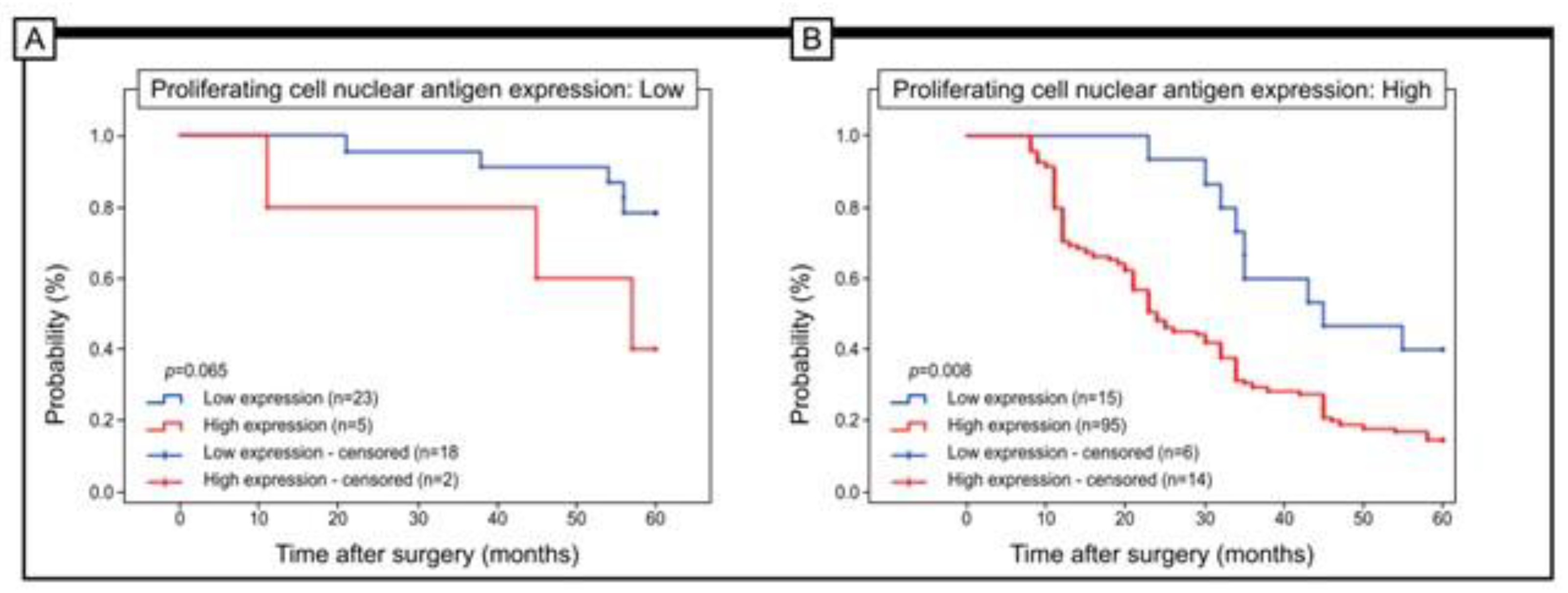 Jcm 12 05477 g005 Jcm 12 05477 g005