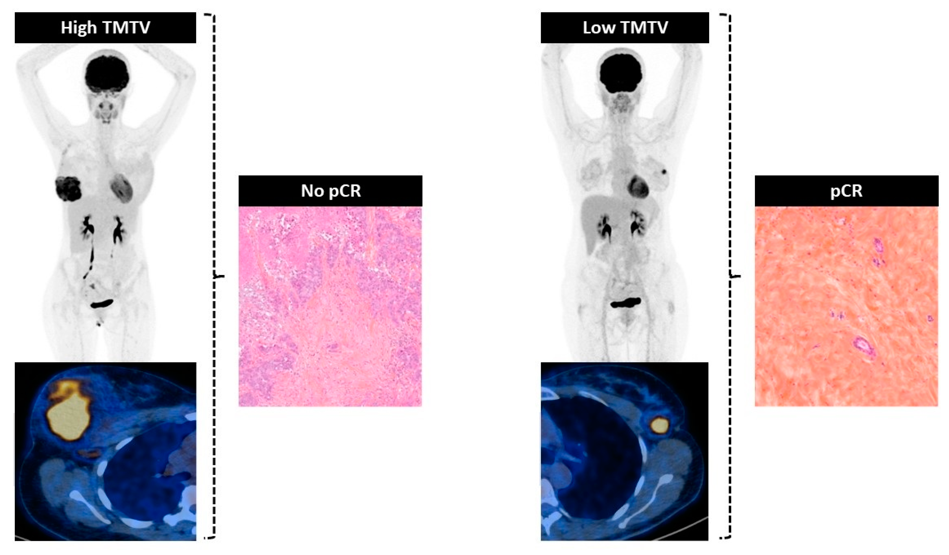 Jcm 12 05487 g003 Jcm 12 05487 g003