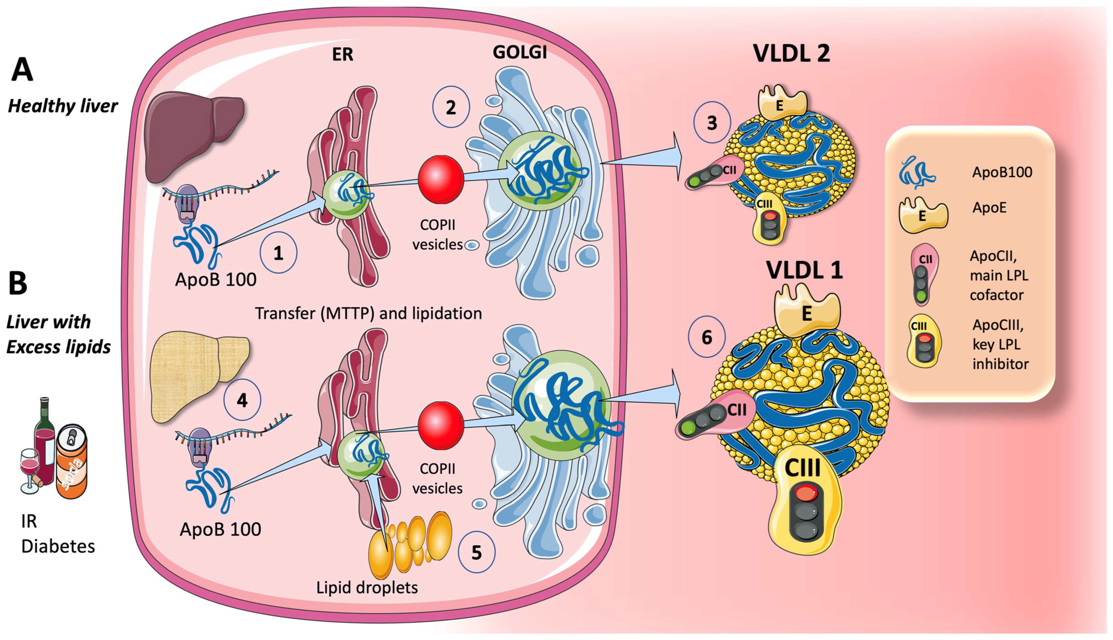 Jcm 12 05660 g001 Jcm 12 05660 g001