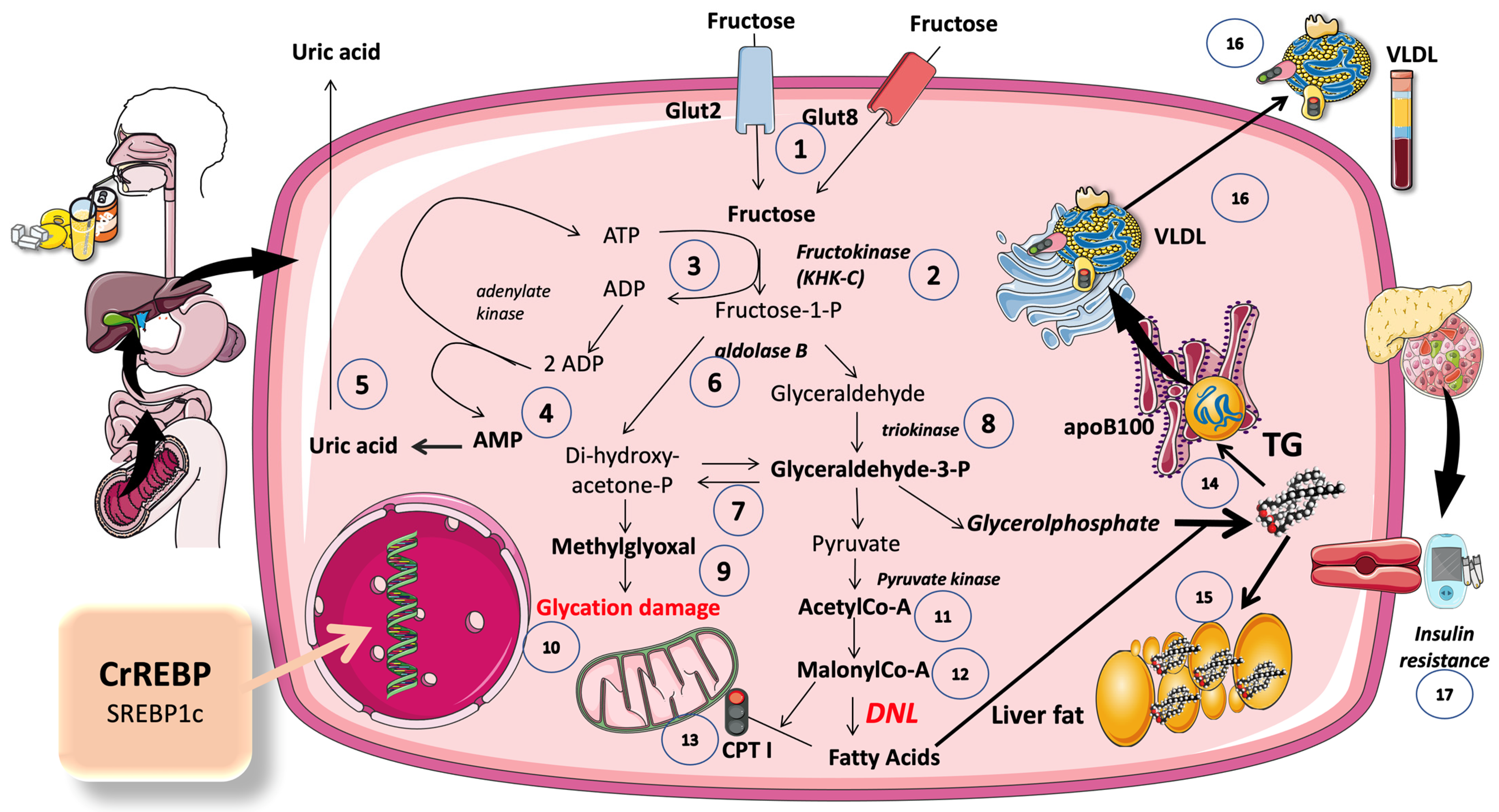 Jcm 12 05660 g005 Jcm 12 05660 g005