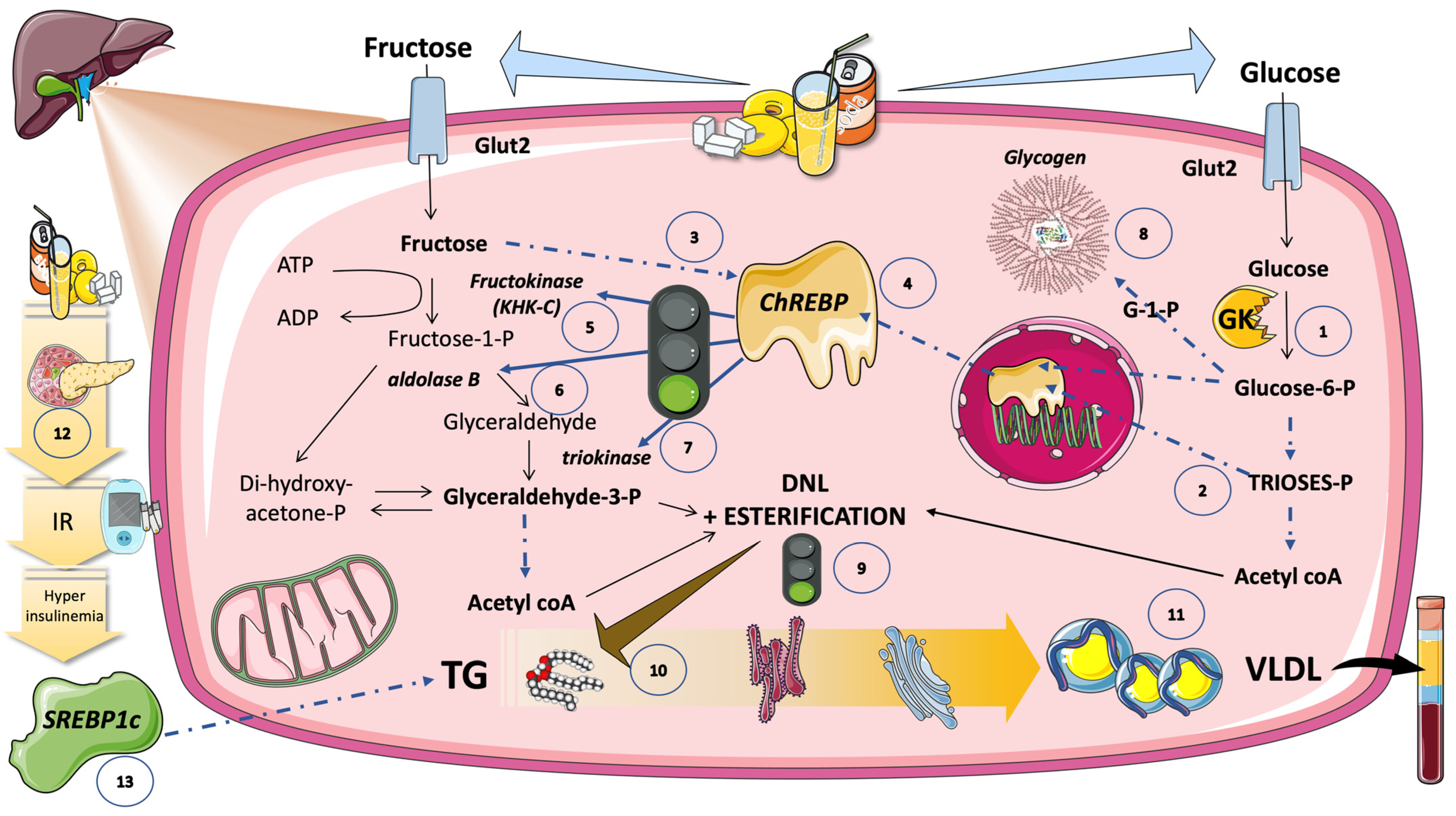 Jcm 12 05660 g007 Jcm 12 05660 g007