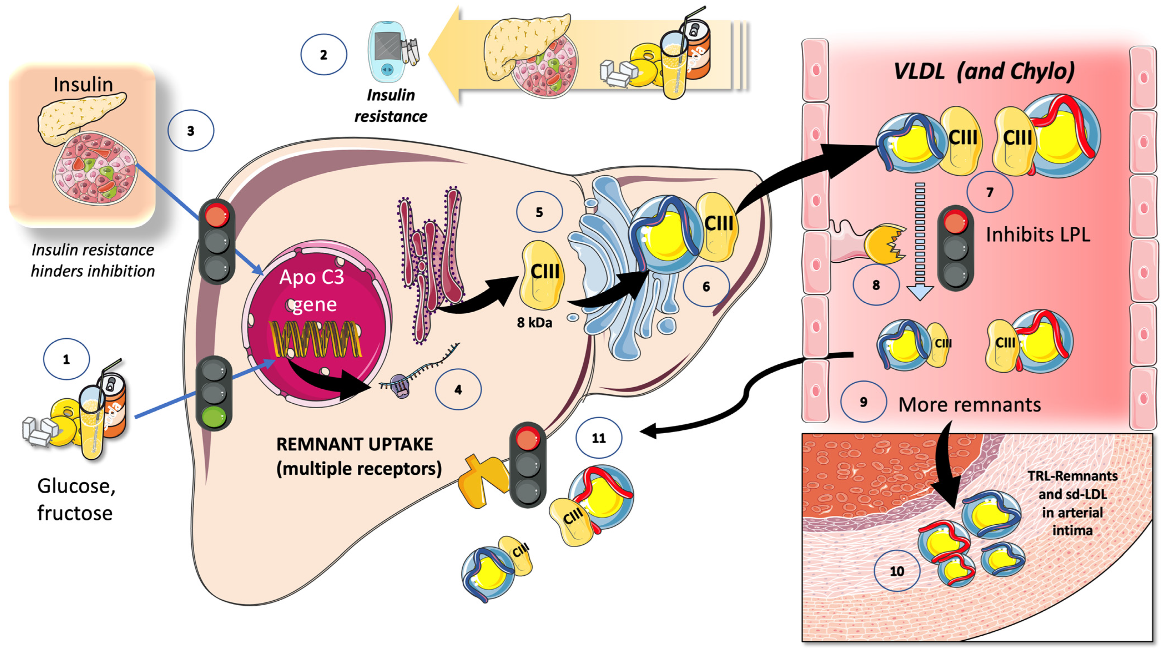 Jcm 12 05660 g008 Jcm 12 05660 g008