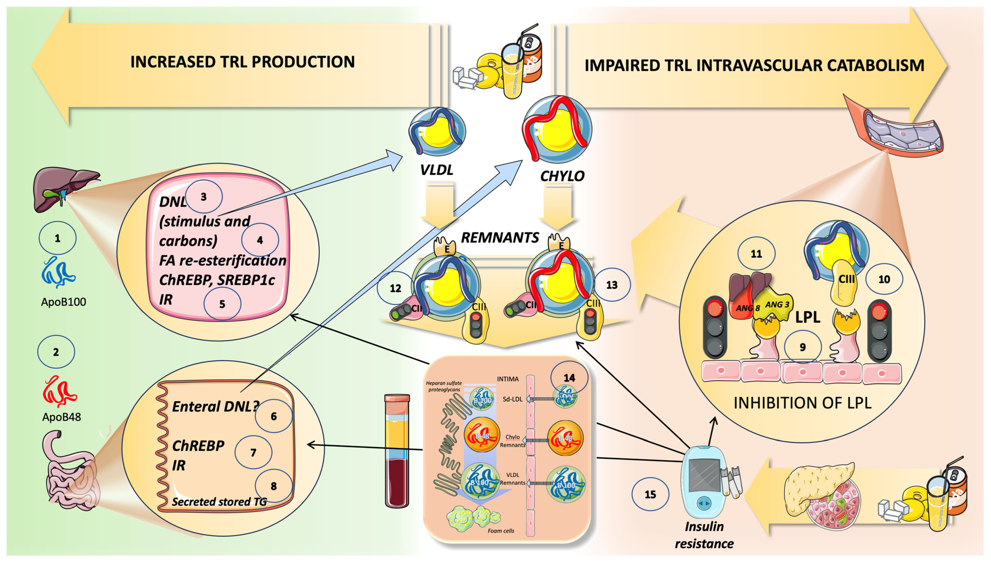 Jcm 12 05660 g011 Jcm 12 05660 g011