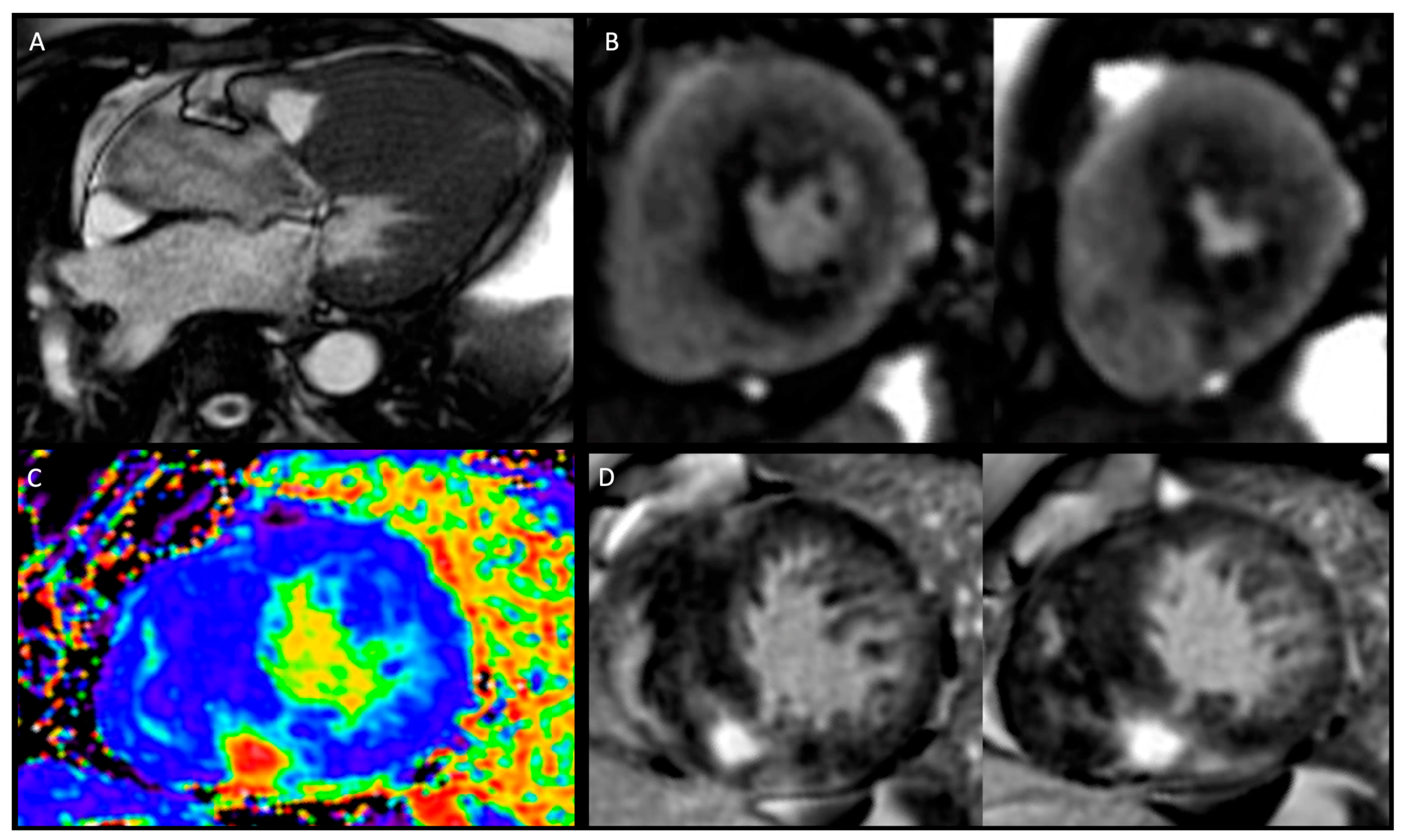 Jcm 12 05710 g001 Jcm 12 05710 g001
