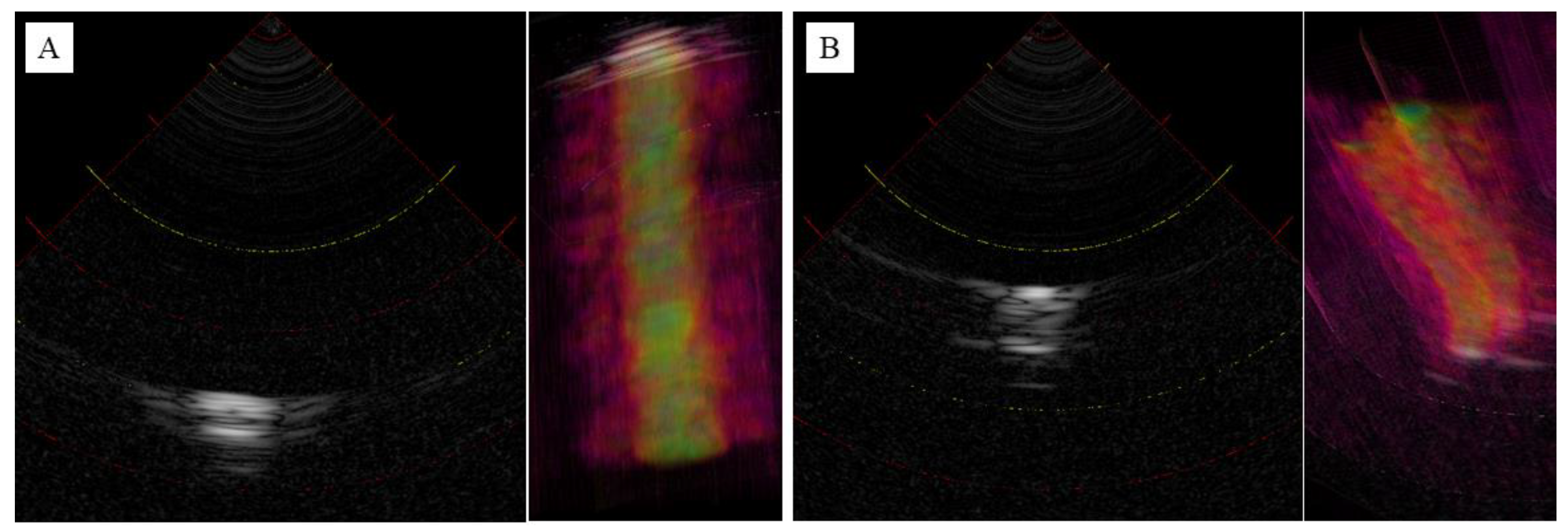 Jcm 12 05727 g005 Jcm 12 05727 g005