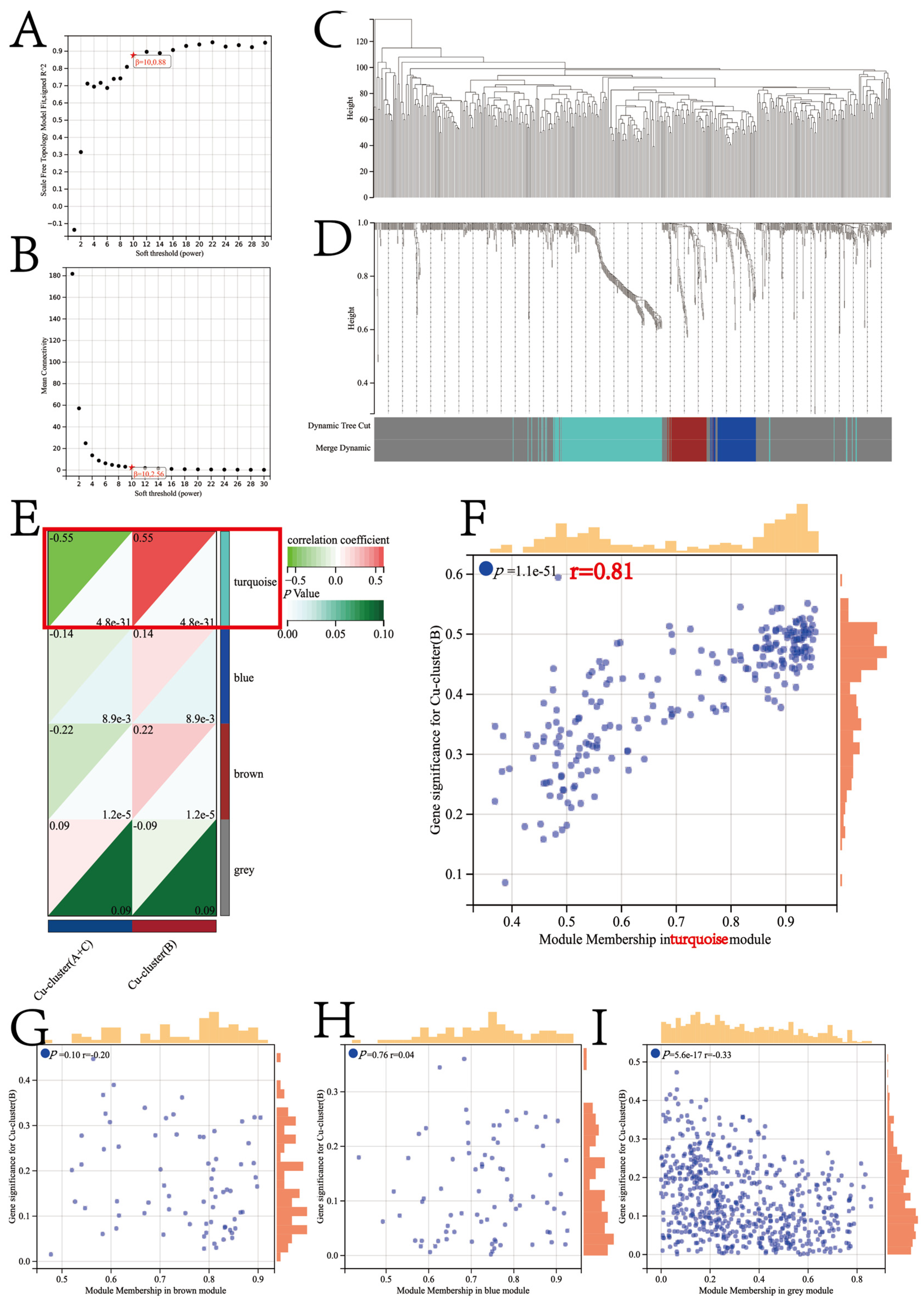 Jcm 12 05767 g007 Jcm 12 05767 g007