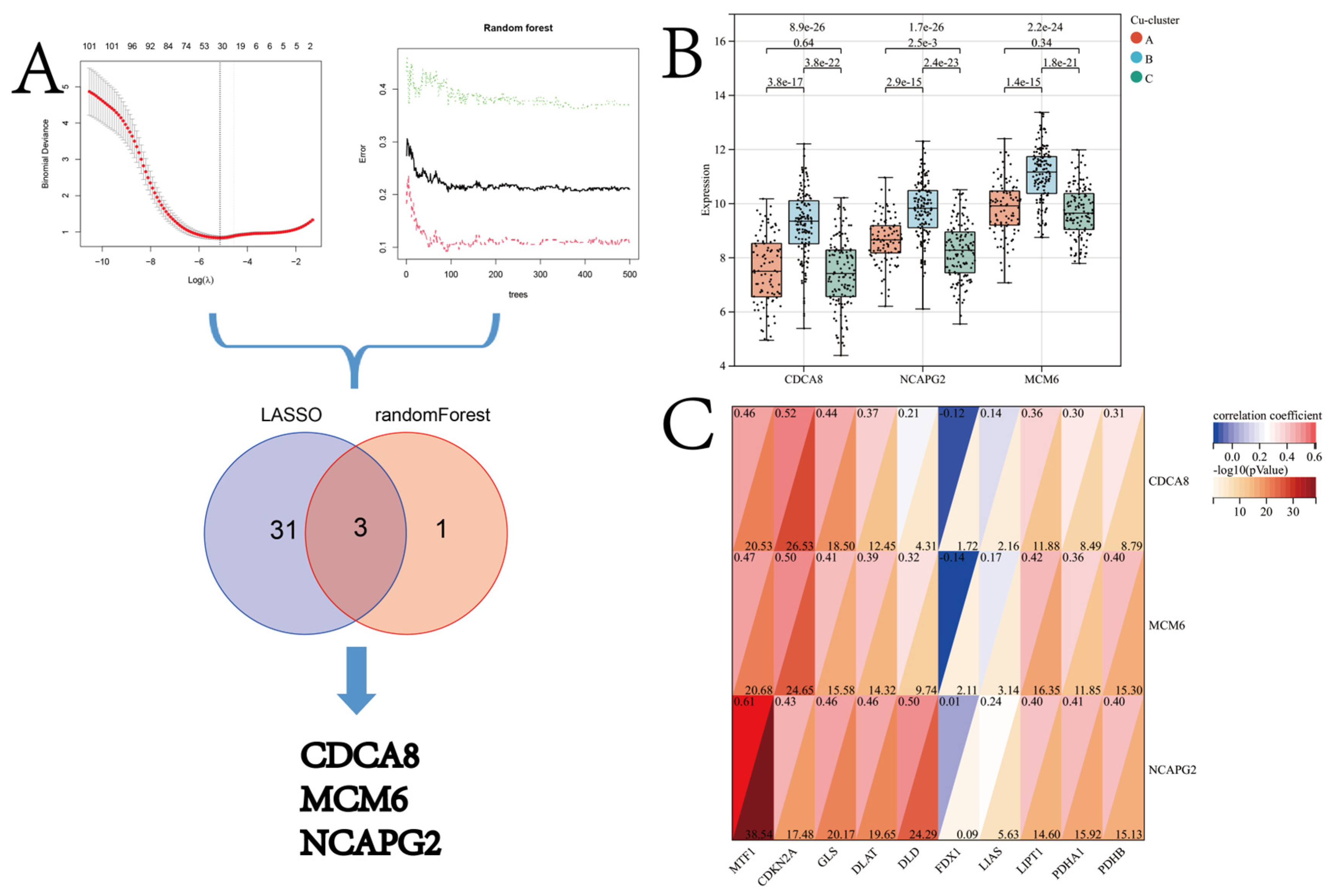 Jcm 12 05767 g008 Jcm 12 05767 g008