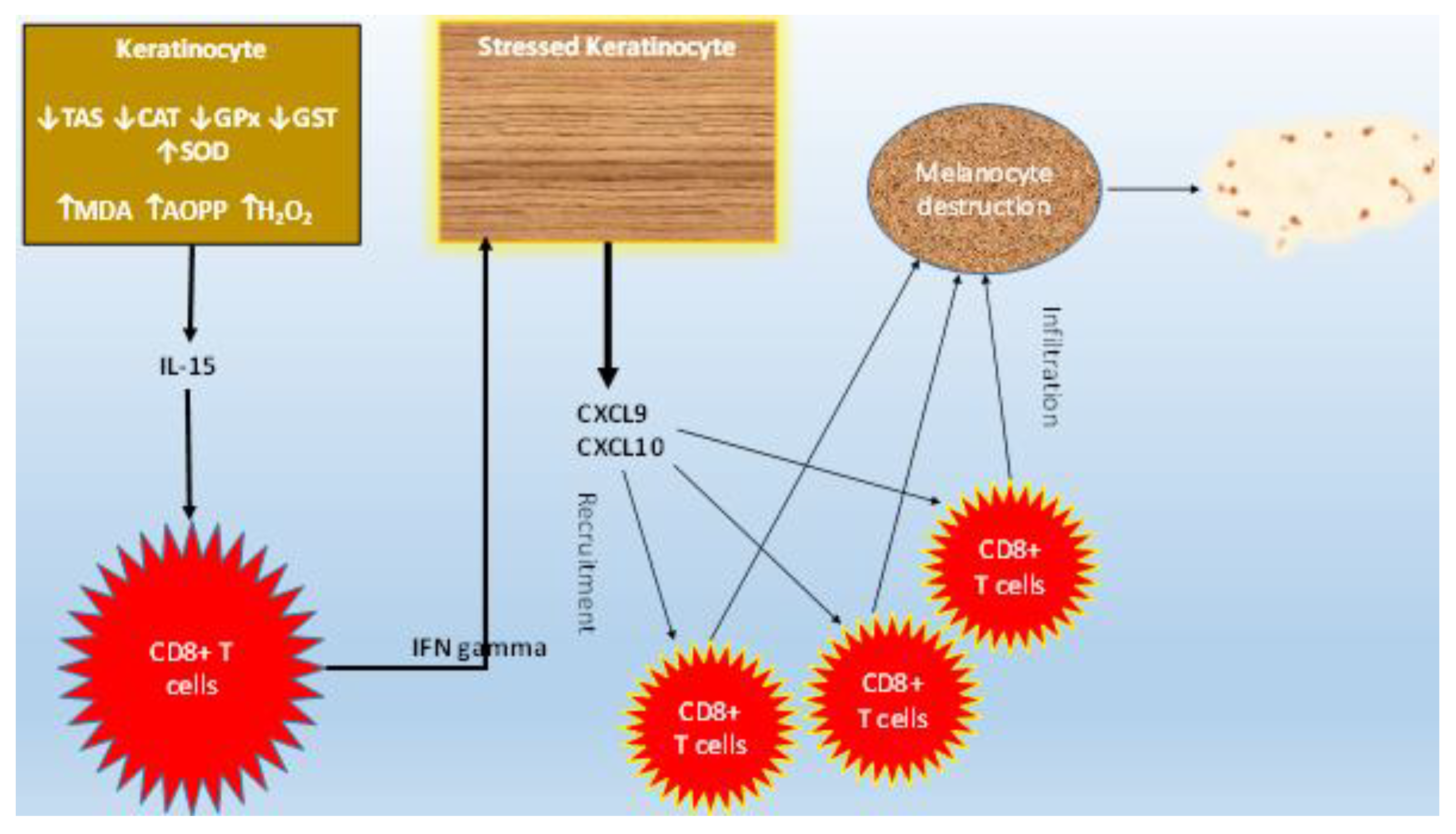 Jcm 12 05861 g004 Jcm 12 05861 g004