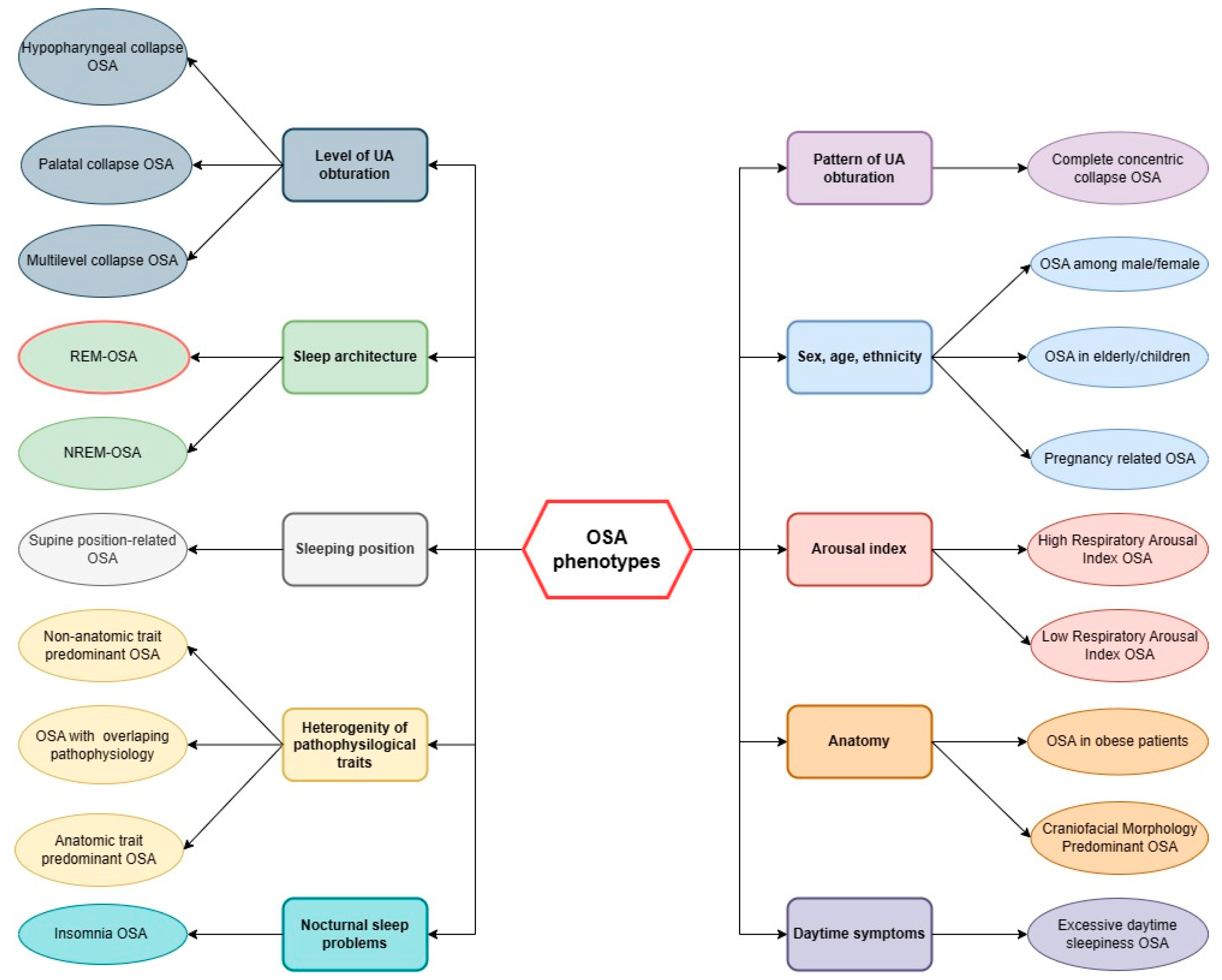 Daytime OSA Therapy: Intraoral Neuromuscular Electrical Stimulation and its  Mechanism of Action 