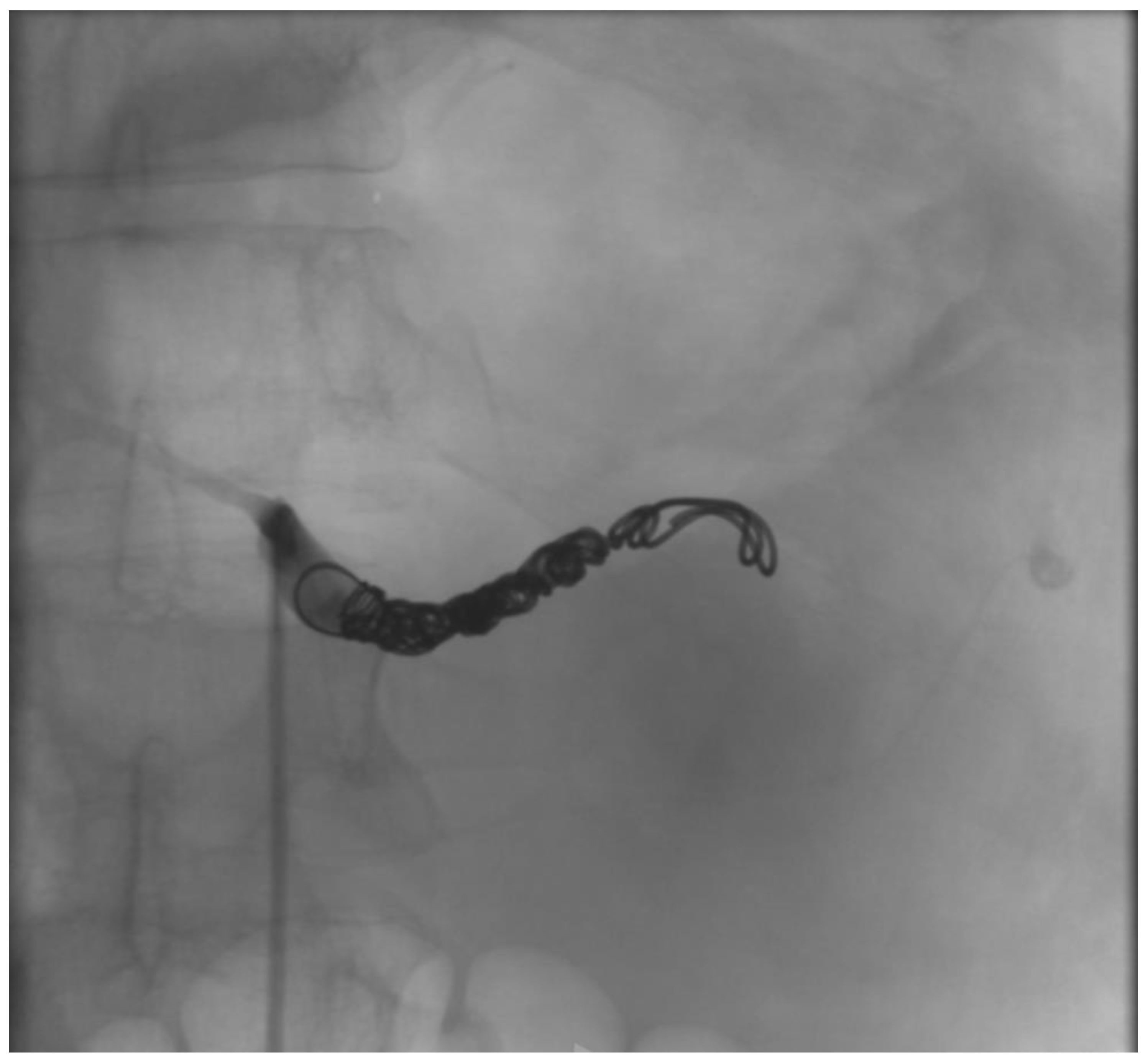 Jcm 12 06085 g004 Jcm 12 06085 g004