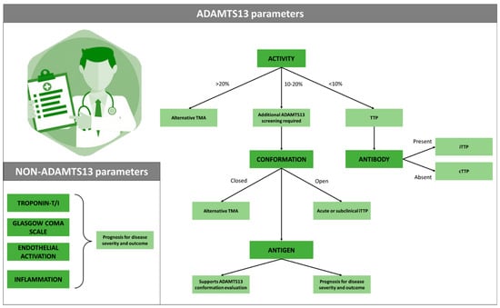 JCM | Free Full-Text | ADAMTS13 and Non-ADAMTS13 Biomarkers in Immune ...