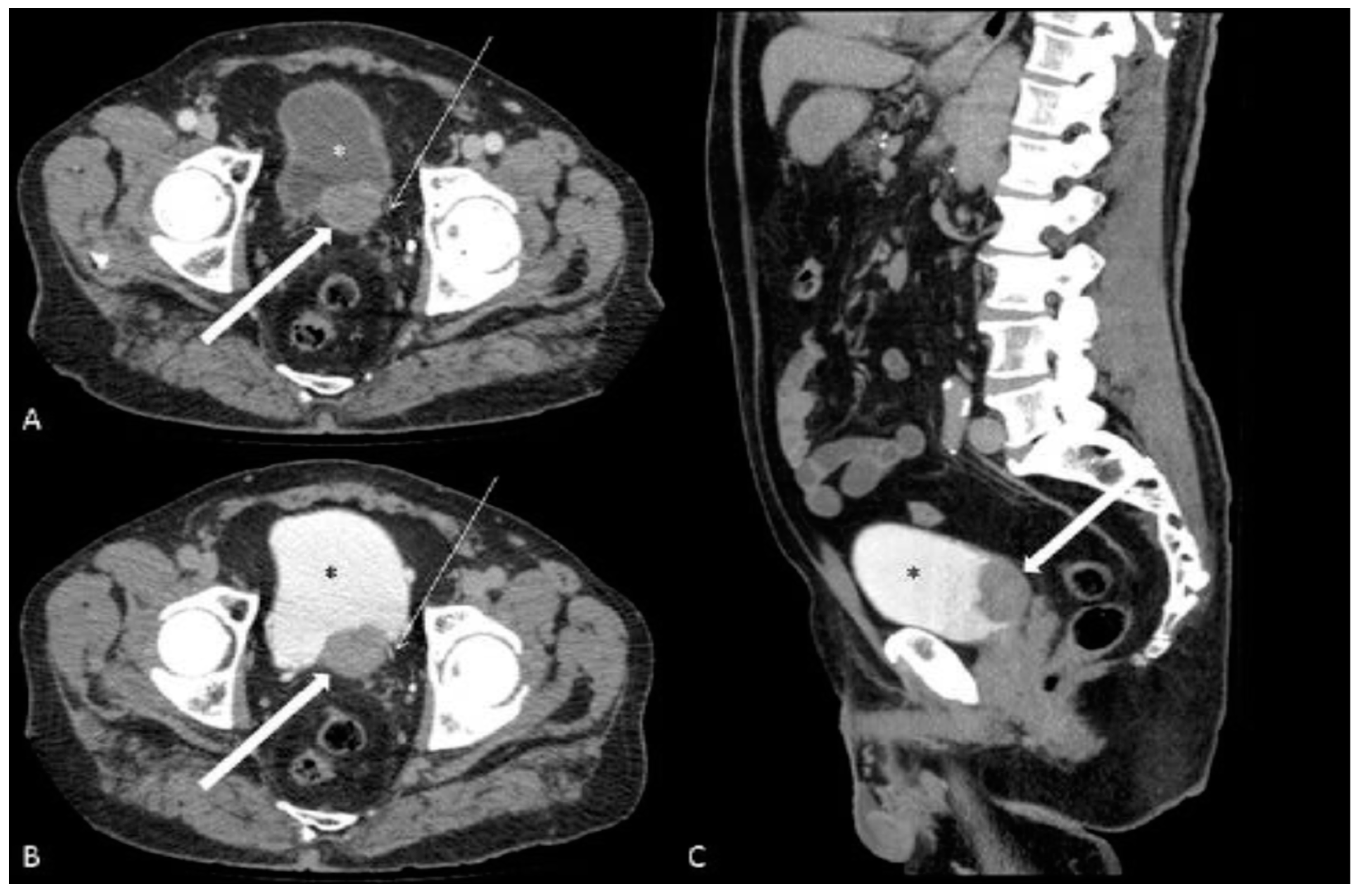 Jcm 12 06510 g002 Jcm 12 06510 g002