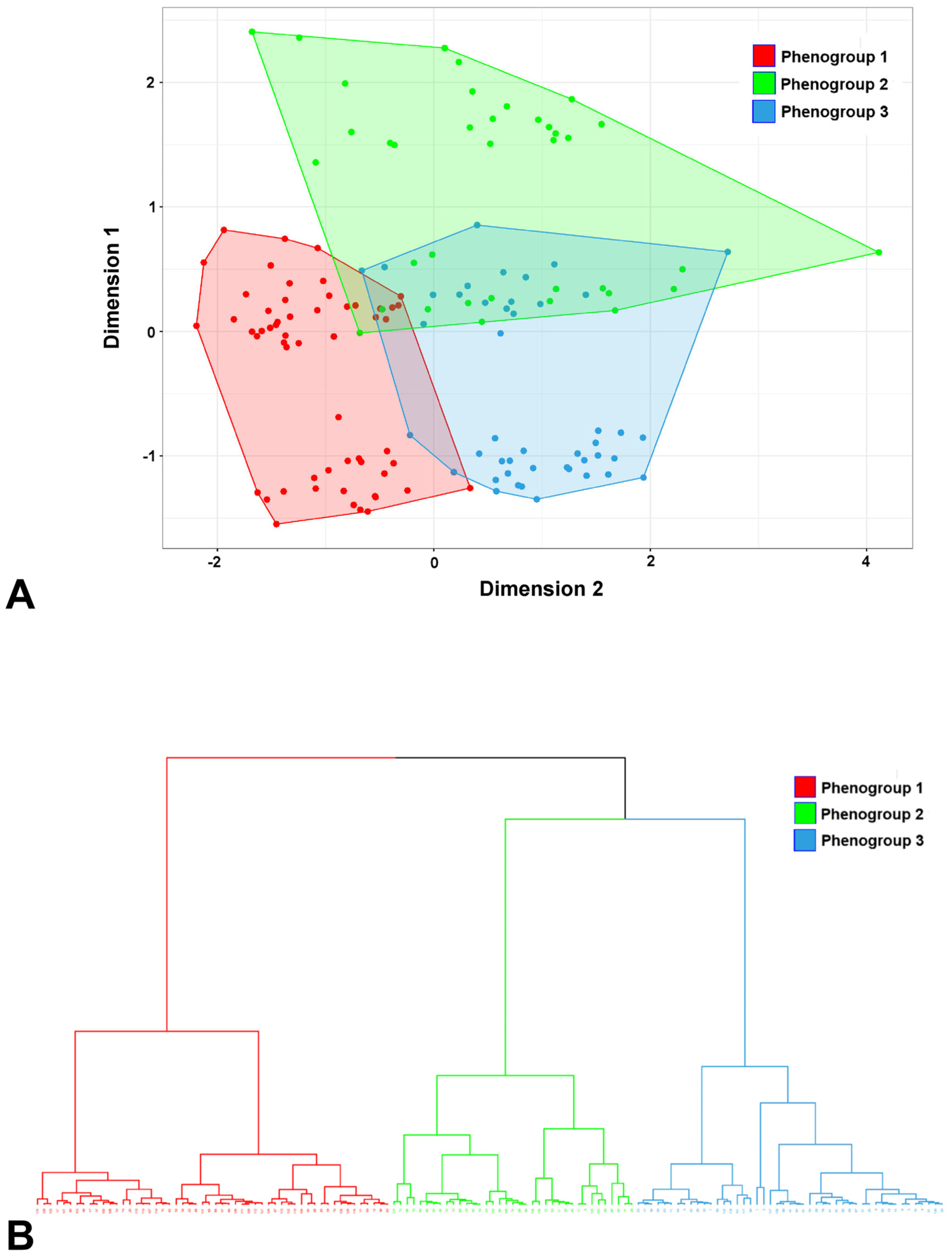 JCM Free Full Text Phenotypic Clustering of Beta Thalassemia