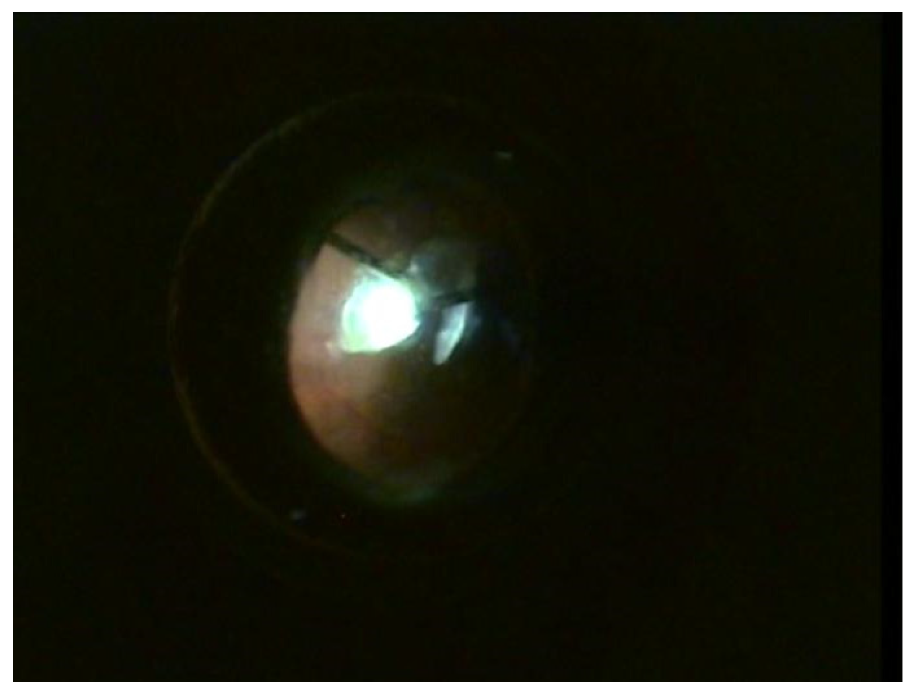 Jcm 12 06981 g001