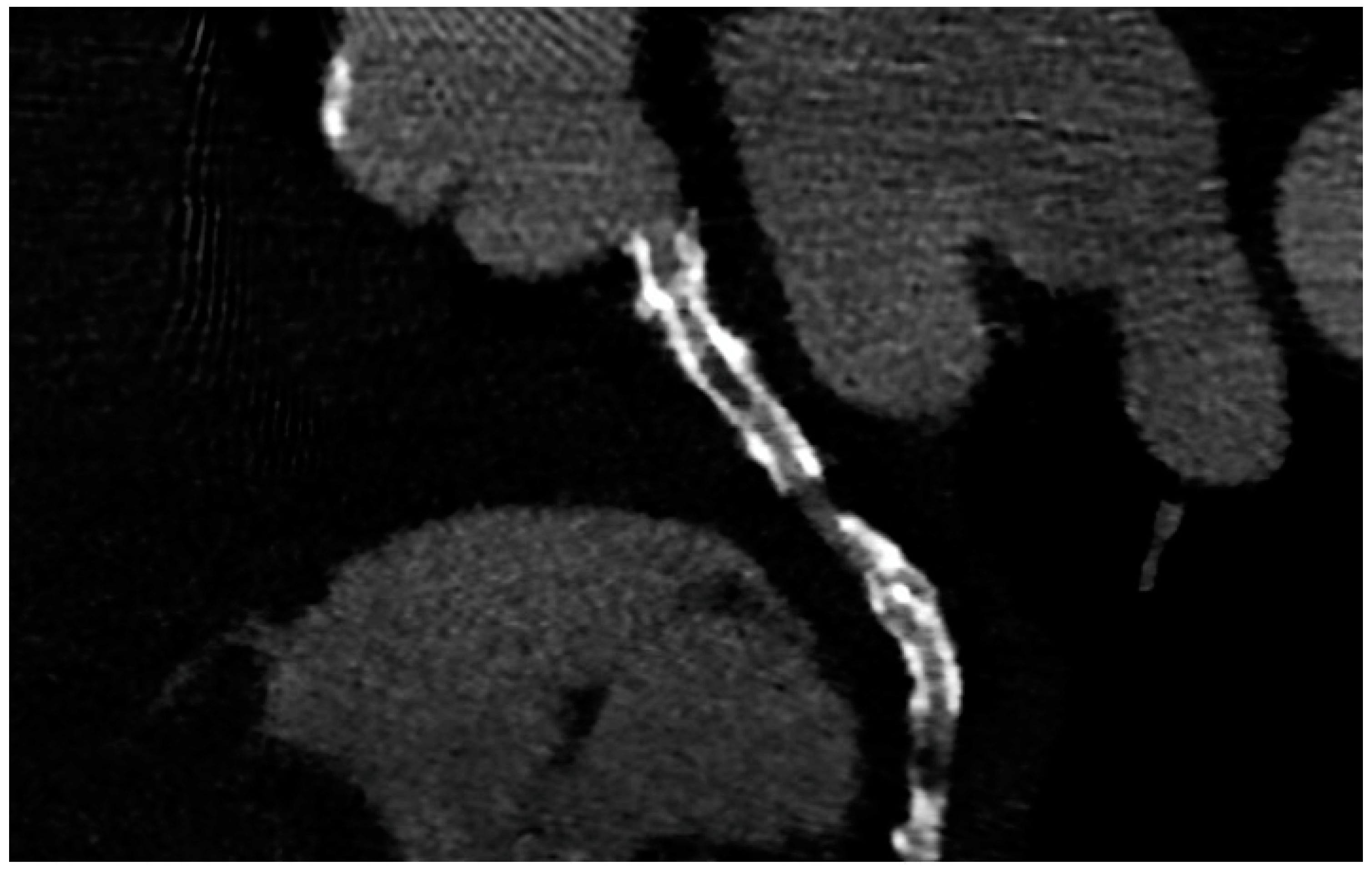 Jcm 12 07104 g002 Jcm 12 07104 g002