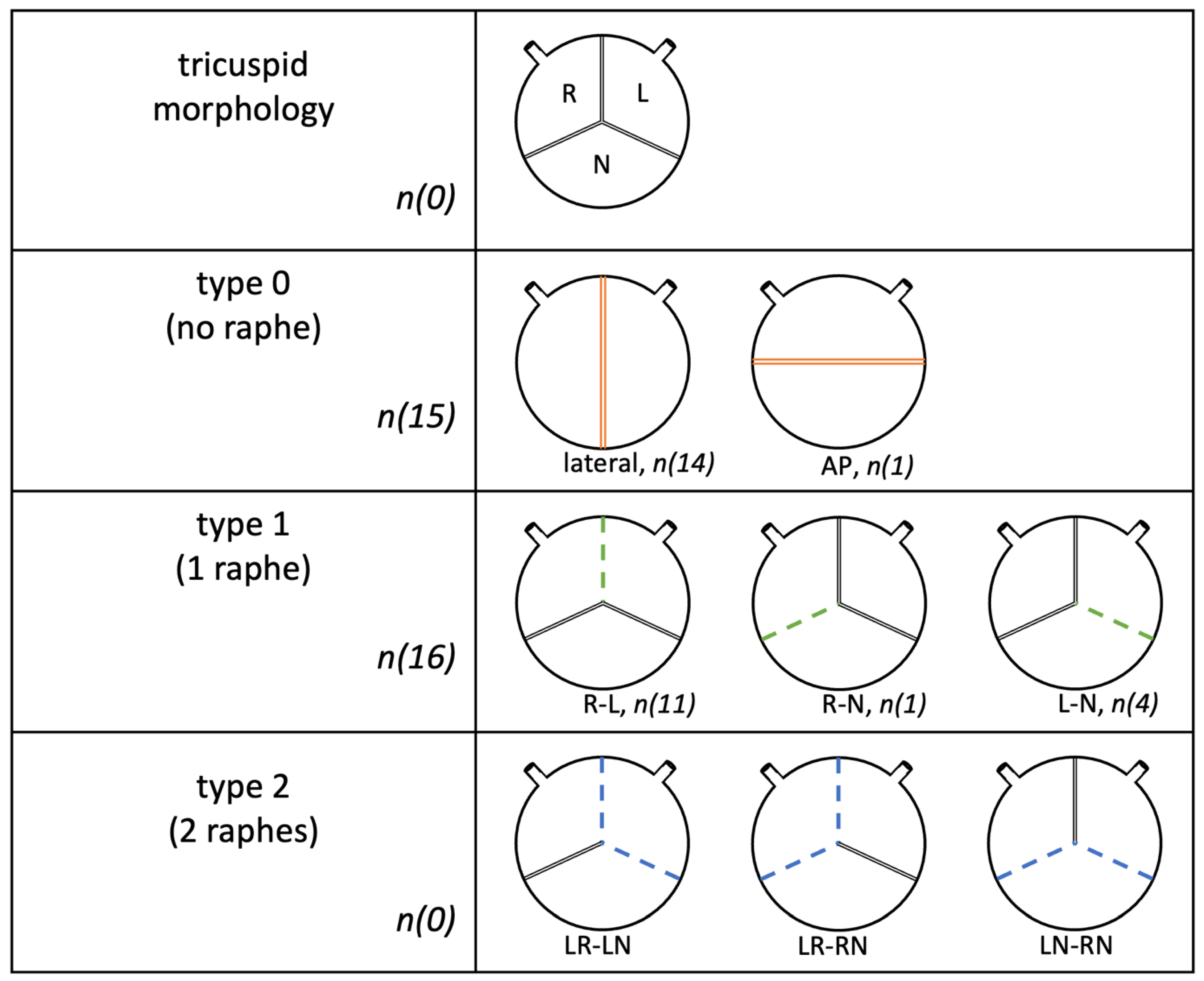 Jcm 12 07390 g002 Jcm 12 07390 g002