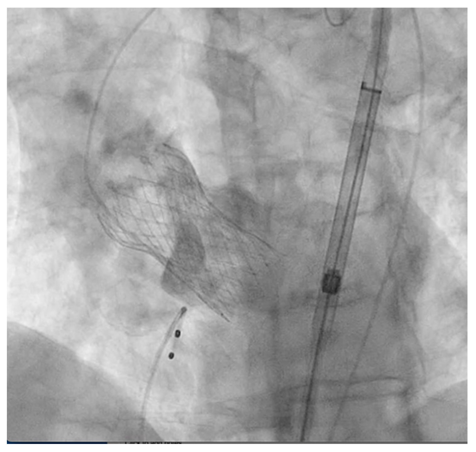 Jcm 12 07630 g001 Jcm 12 07630 g001