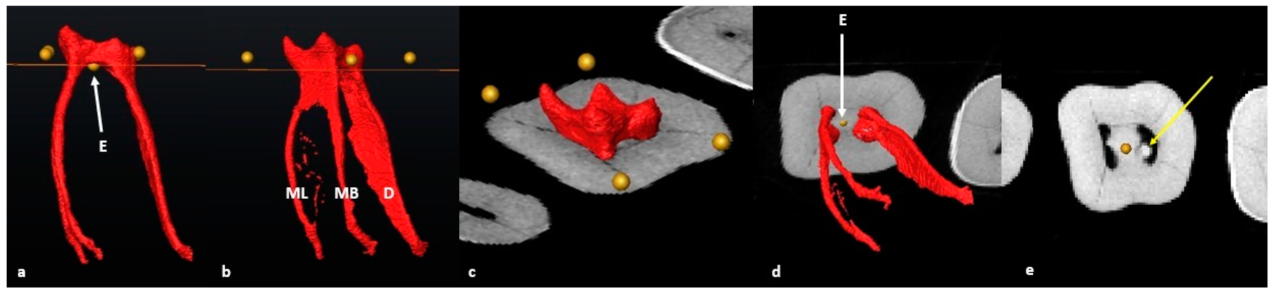 Jcm 13 00071 g002 Jcm 13 00071 g002