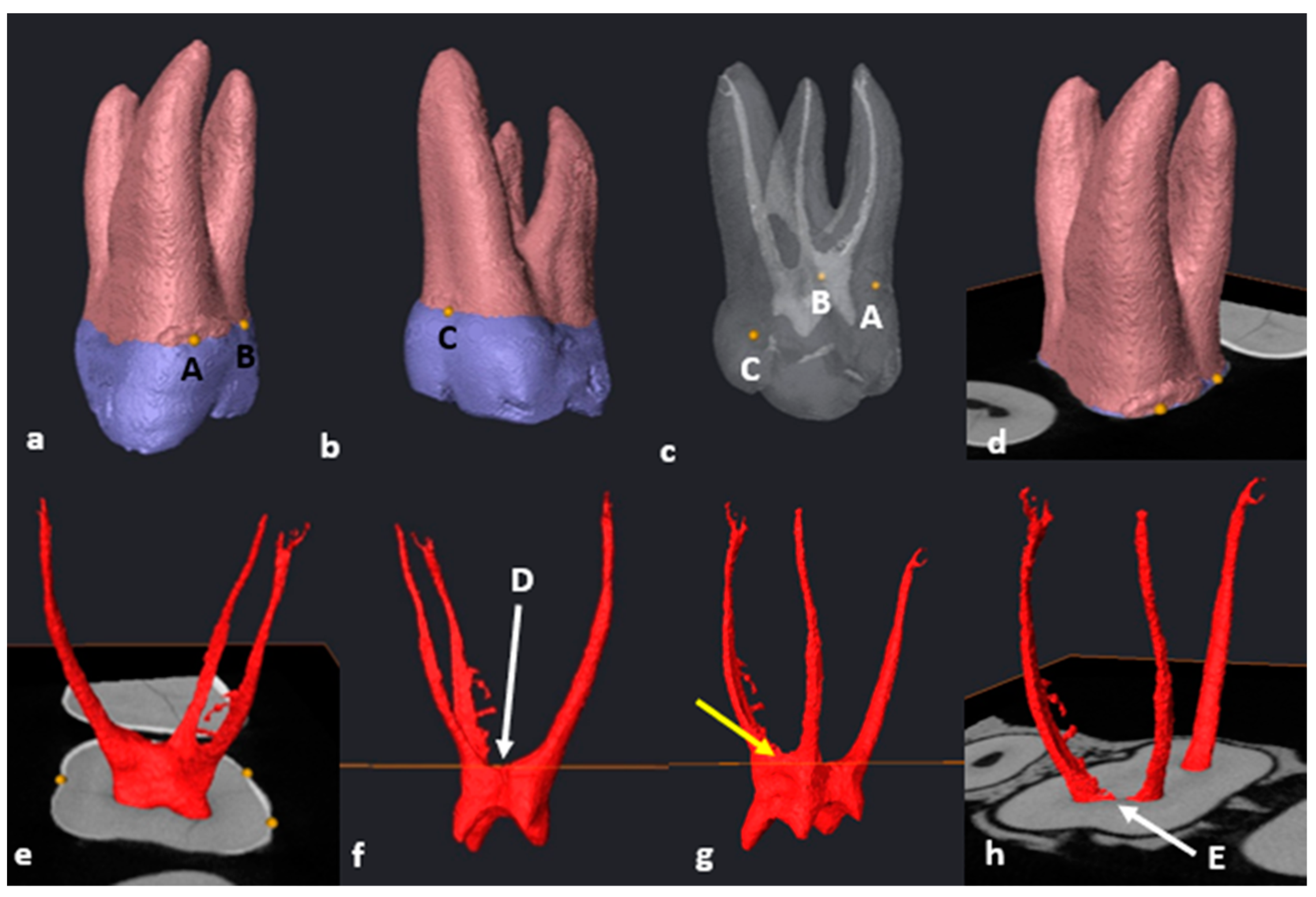 Jcm 13 00071 g005 Jcm 13 00071 g005