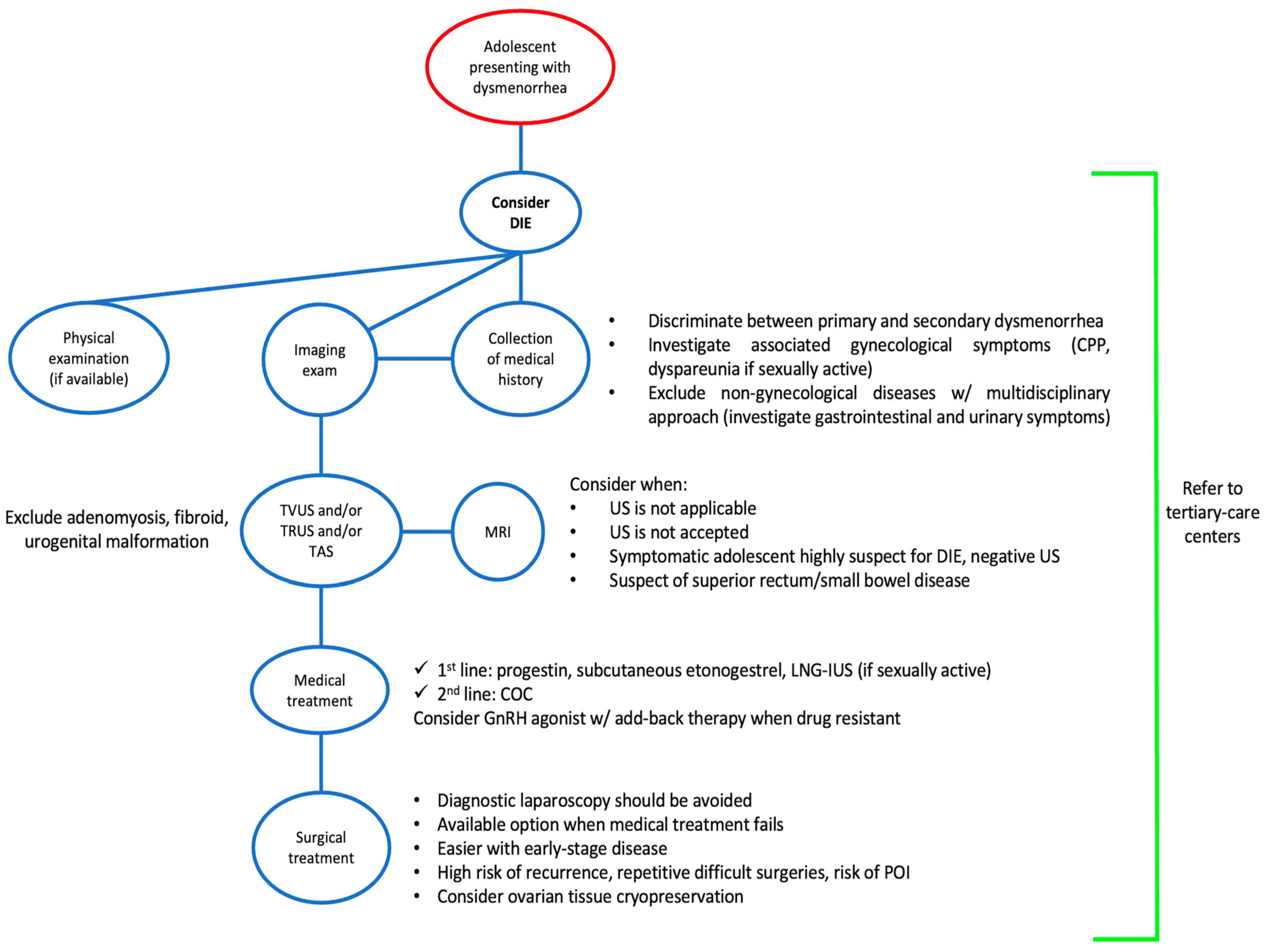 Endometrioma Unveiled: A Comprehensive Review of the Pathogenesis