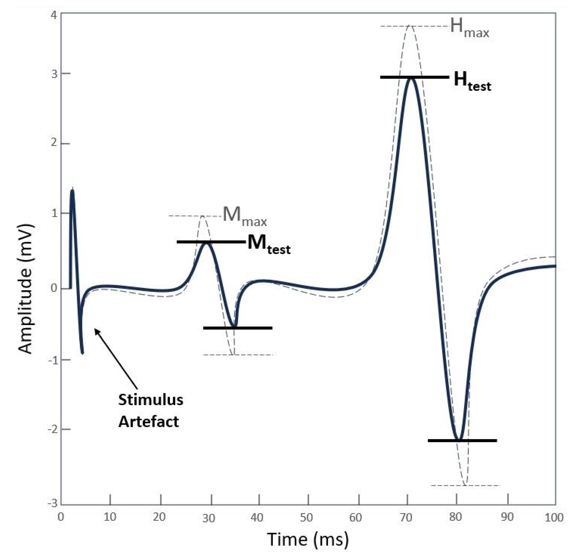 Jcm 13 00704 g004 Jcm 13 00704 g004