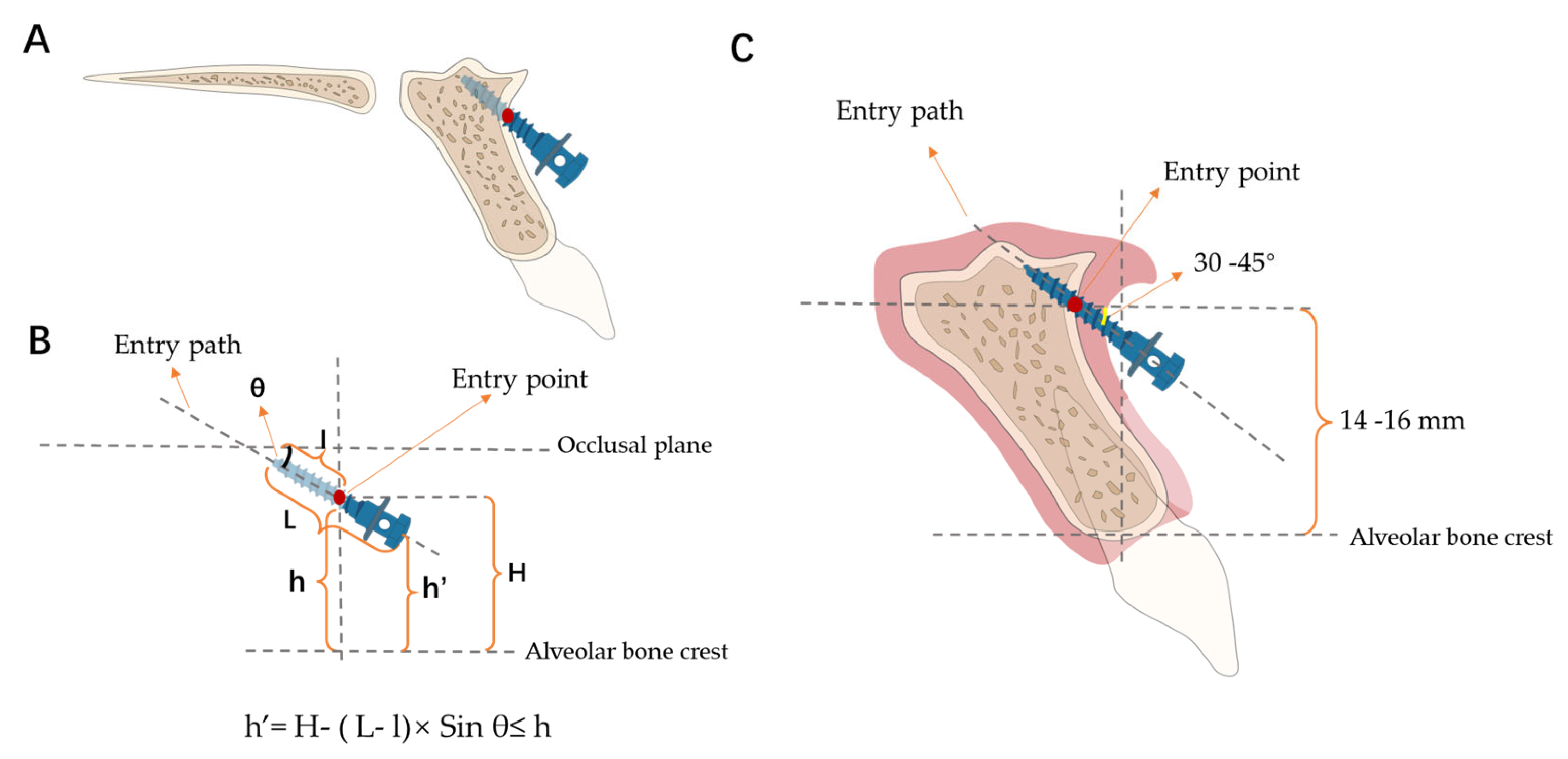 Jcm 13 00837 g005 Jcm 13 00837 g005