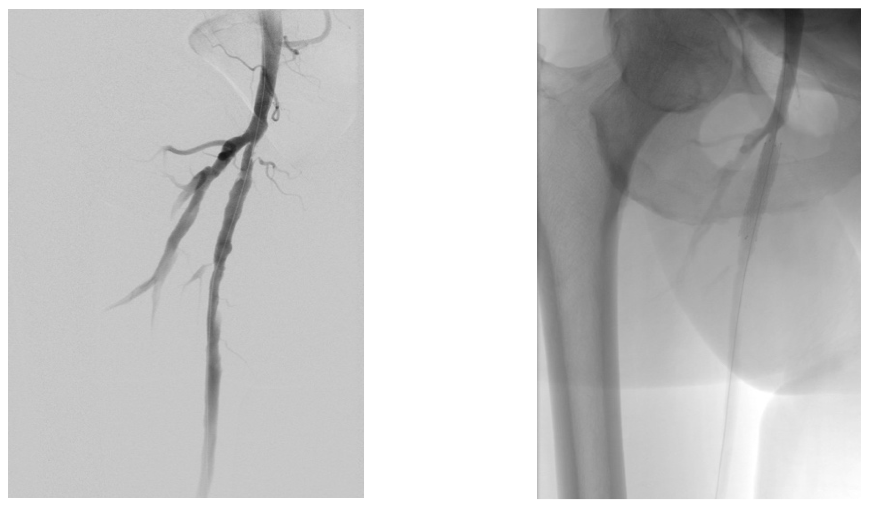 Jcm 13 00883 g012 Jcm 13 00883 g012