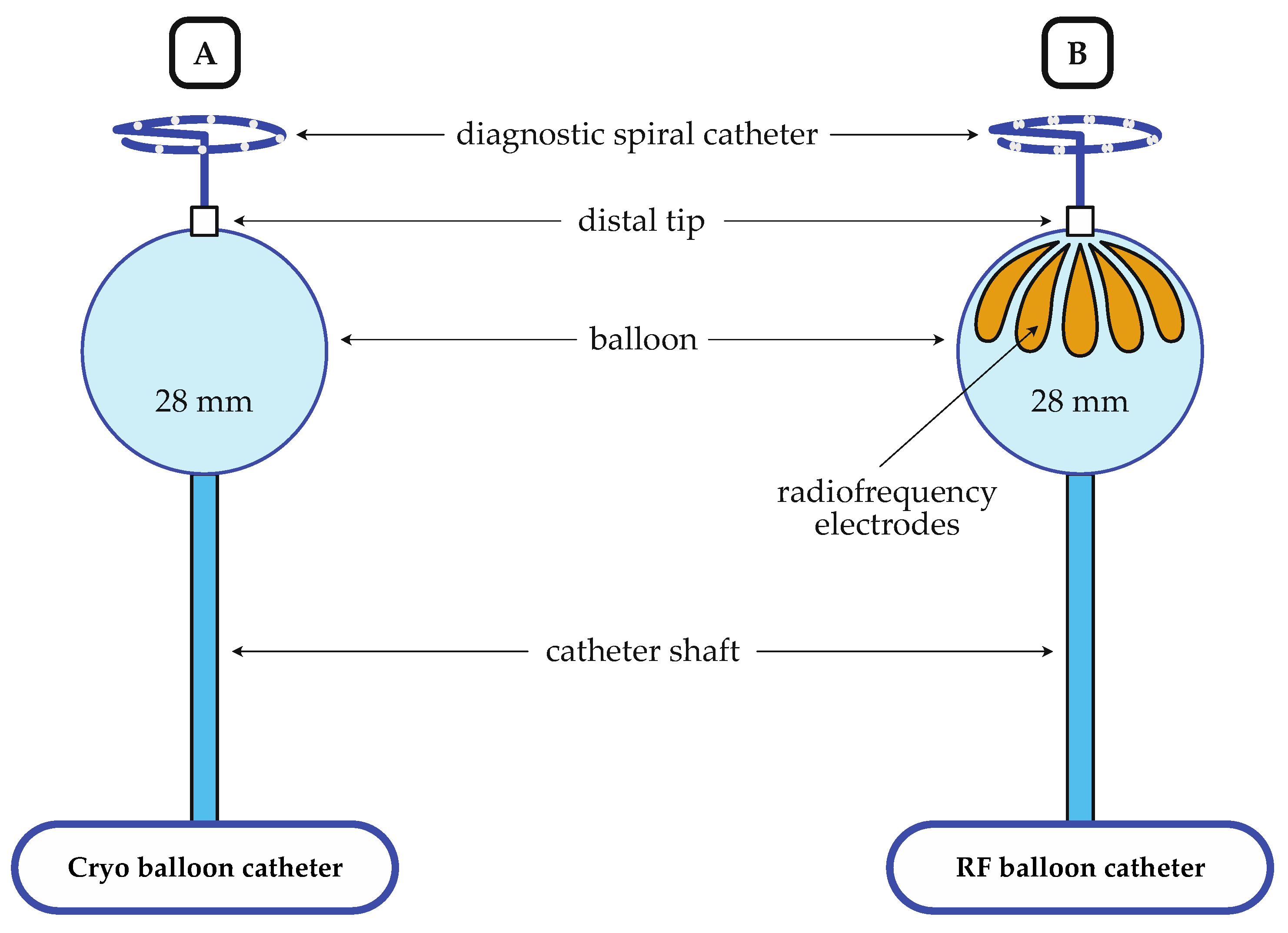 Jcm Free Full Text Comparison Between A Novel Radiofrequency