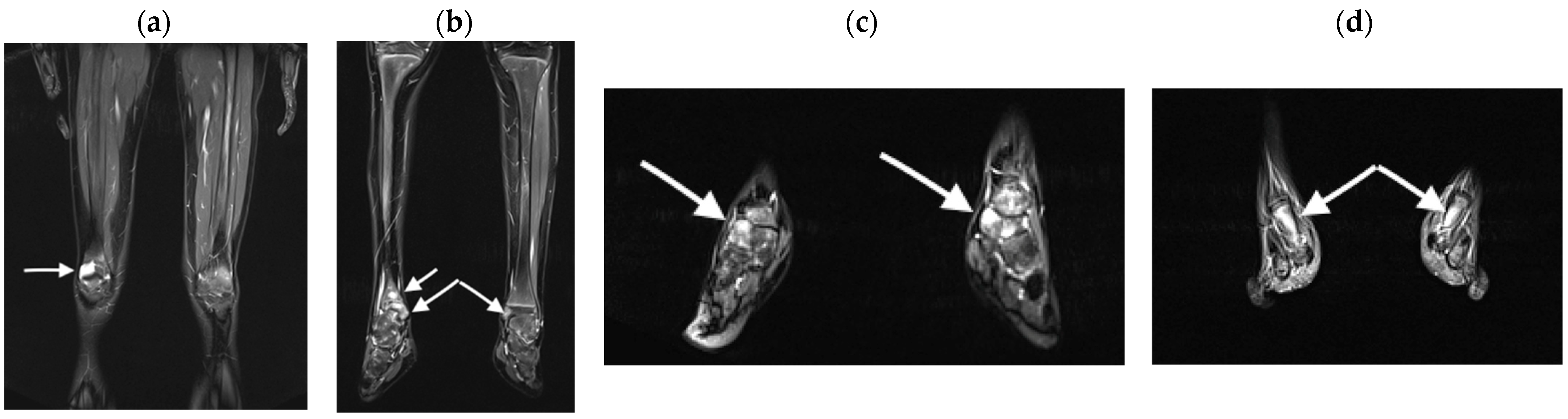 Jcm 13 00998 g002 Jcm 13 00998 g002