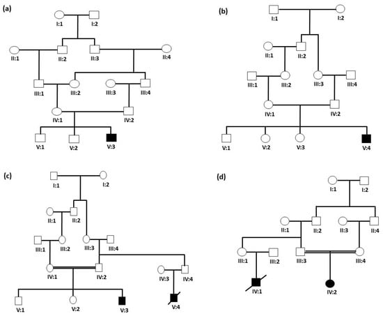 JCM Free Full Text Identification of Novel and Recurrent