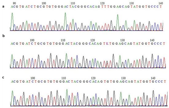 JCM Free Full Text Identification of Novel and Recurrent